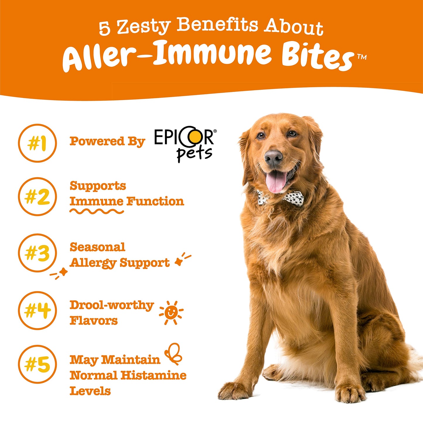 Zesty Paws Dog Allergy Relief - Anti Itch Supplement - Omega 3 Probiotics for Dogs - Digestive Health - Soft Chews for Skin & Seasonal Allergies - with Epicor Pets - Lamb - 50 Count