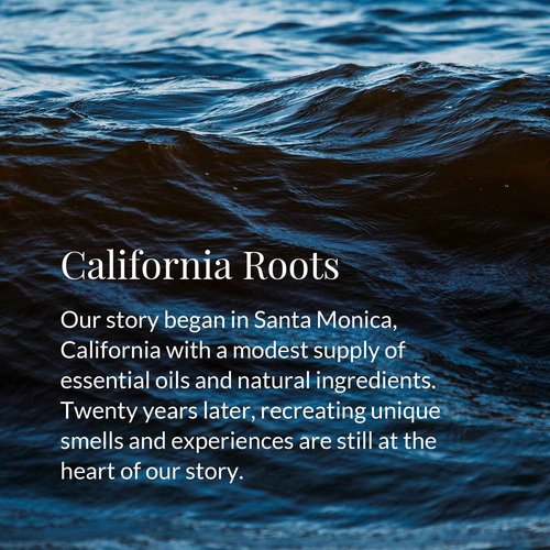 Archipelago Botanicals Pomegranate Citrus Reed Diffuser Oil Refill, Home Fragrance Oil for Diffuser, Long-Lasting Natural Home Fragrance, Diffuser Oil Scents, 7.85 Fl Oz