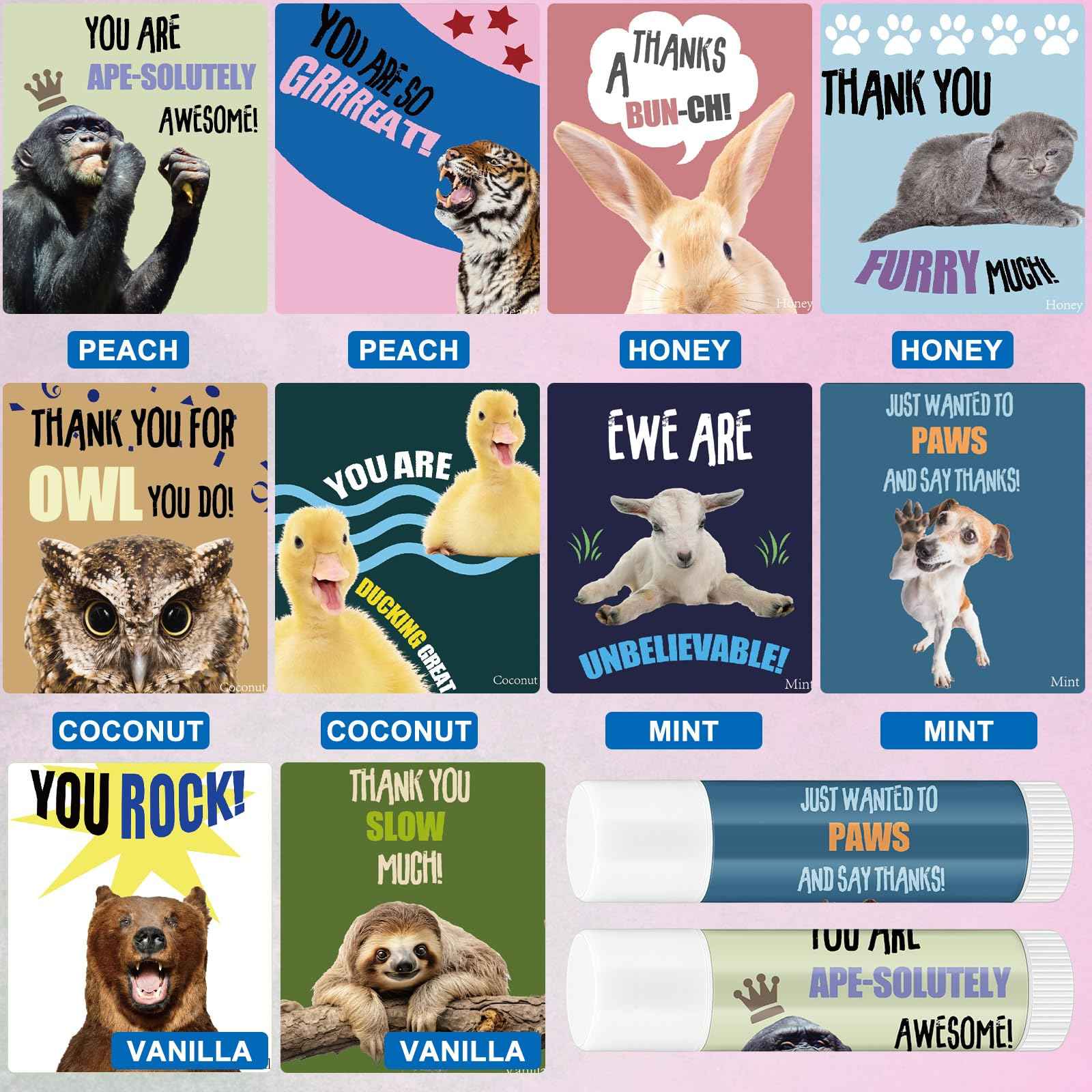 Dansib 40 Sets Employee Appreciation Gifts Bulk for Coworkers Thank You Staff Gift Inspirational Animal Pun Lip Balm Note Cards Organza Bag for Office Pocket Favor Party Team Volunteer Nurse Friend