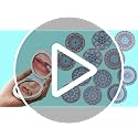 Compact Folding Makeup Mirror 7cm Dual Magnification 6-Pack