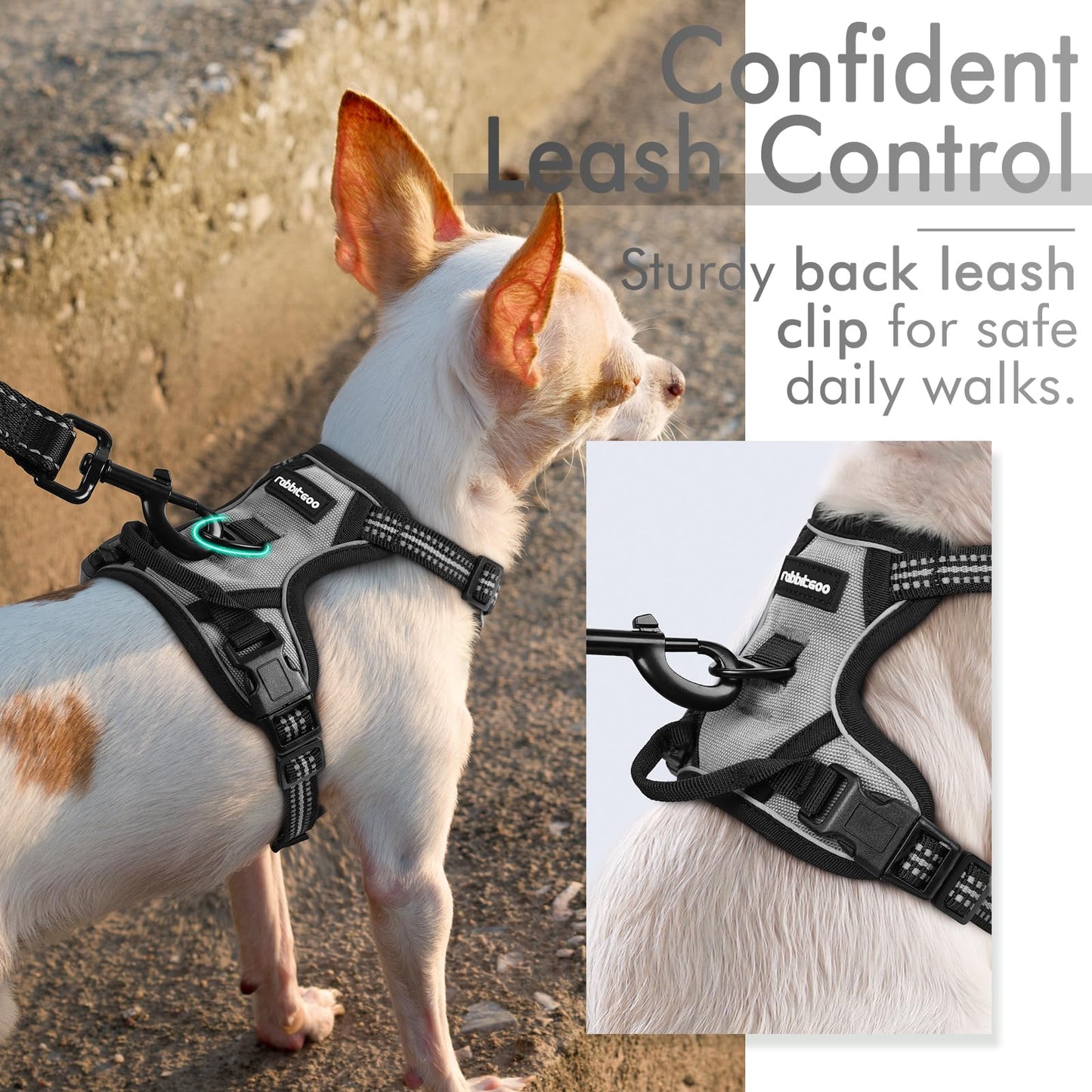 rabbitgoo Dog Harness, No-Pull Pet Harness with 2 Leash Clips, Adjustable Soft Padded Dog Vest, Reflective No-Choke Pet Oxford Vest with Easy Control Handle for Small Dogs, Grey, XS