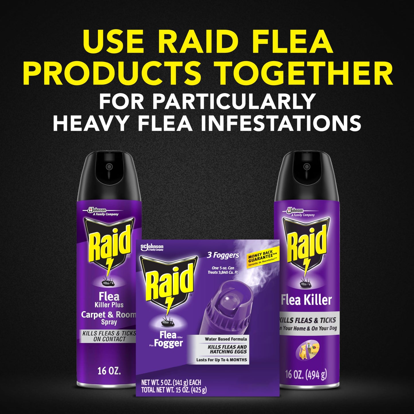 Raid Flea Killer Carpet & Room Spray, Kills hatching eggs for up to 4 months, 16 Oz