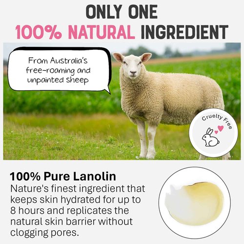 Dr. Lipp Nipple Balm 0.27 fl oz/ 8 ml & Superfood Lip Tints 3x8ml Multi Use Bundle for Lips, Nipples & More