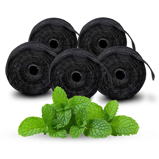 Xlent Expandable Dental Floss Treated with Activated Charcoal, Xylitol, Natural Plant Based Wax, Refreshing Mint Flavor - Pack of 5 (Refills Only)