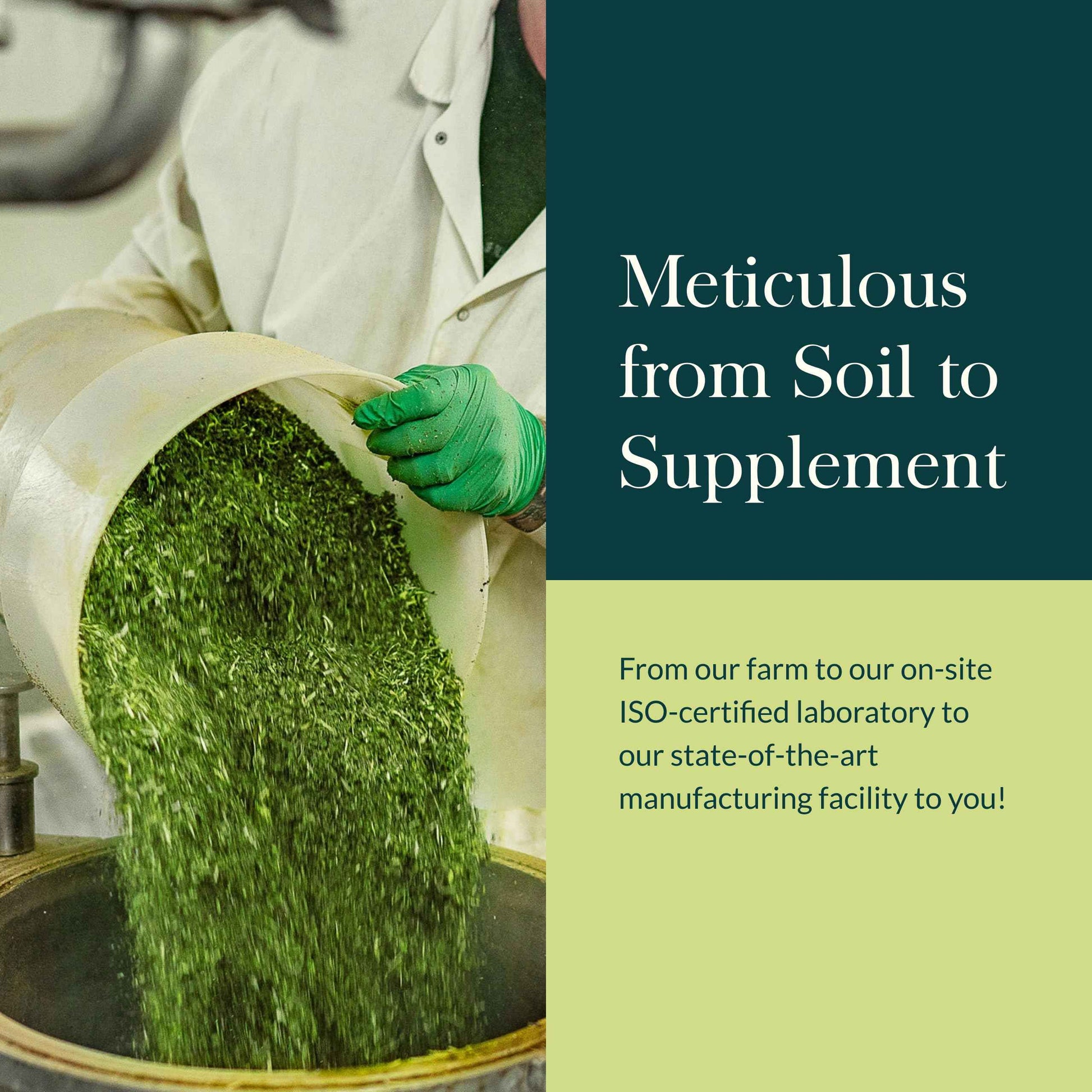 Gaia Herbs Kava Root - Helps Sustain a Sense of Calm & Relaxation During Times of Stress*- Made with Noble Kava Cultivars - 60 Vegan Liquid Phyto-Capsules (20-Day Supply)