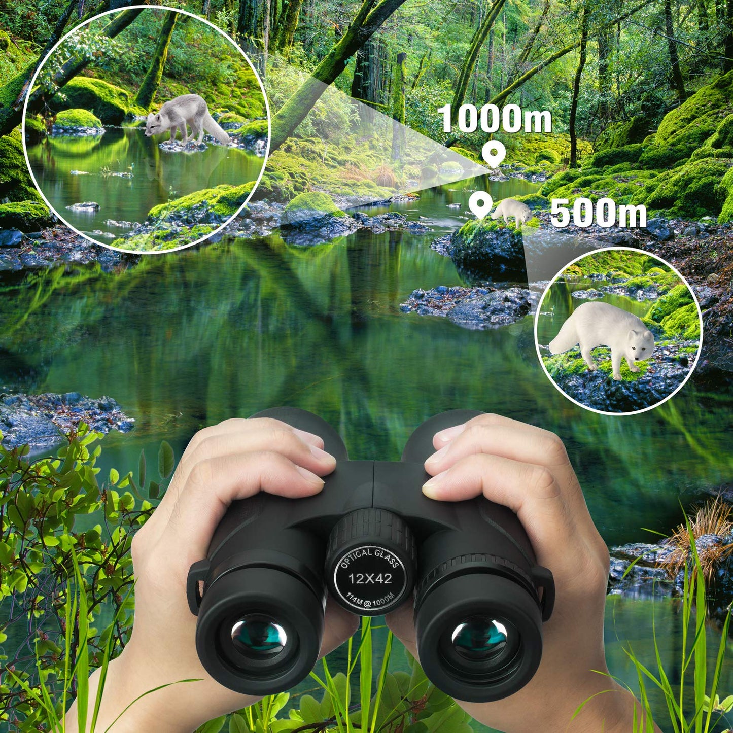 Binoteck 12x42 Binoculars for Adults Weak Light Vision Compact HD Binoculars for Bird-Watching Travel Hunting Concerts Opera Sports BAK4 Prism FMC Lens with Phone Mount Strap Carrying Bag