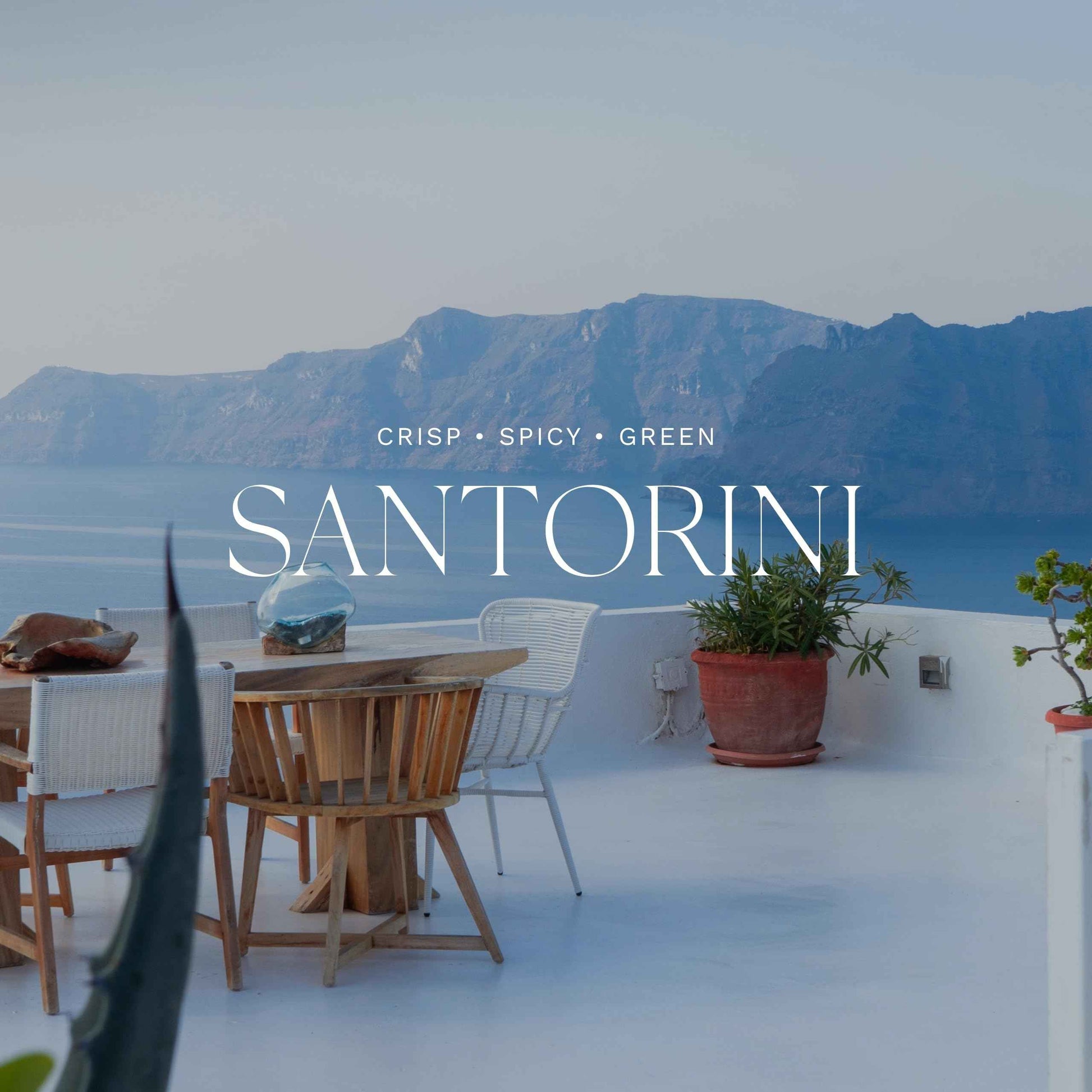 Antica Farmacista Home Ambiance Diffuser - Long-Lasting Reed Scent Diffuser - Luxury Room Freshener Gift - Santorini, 3.4 fl oz