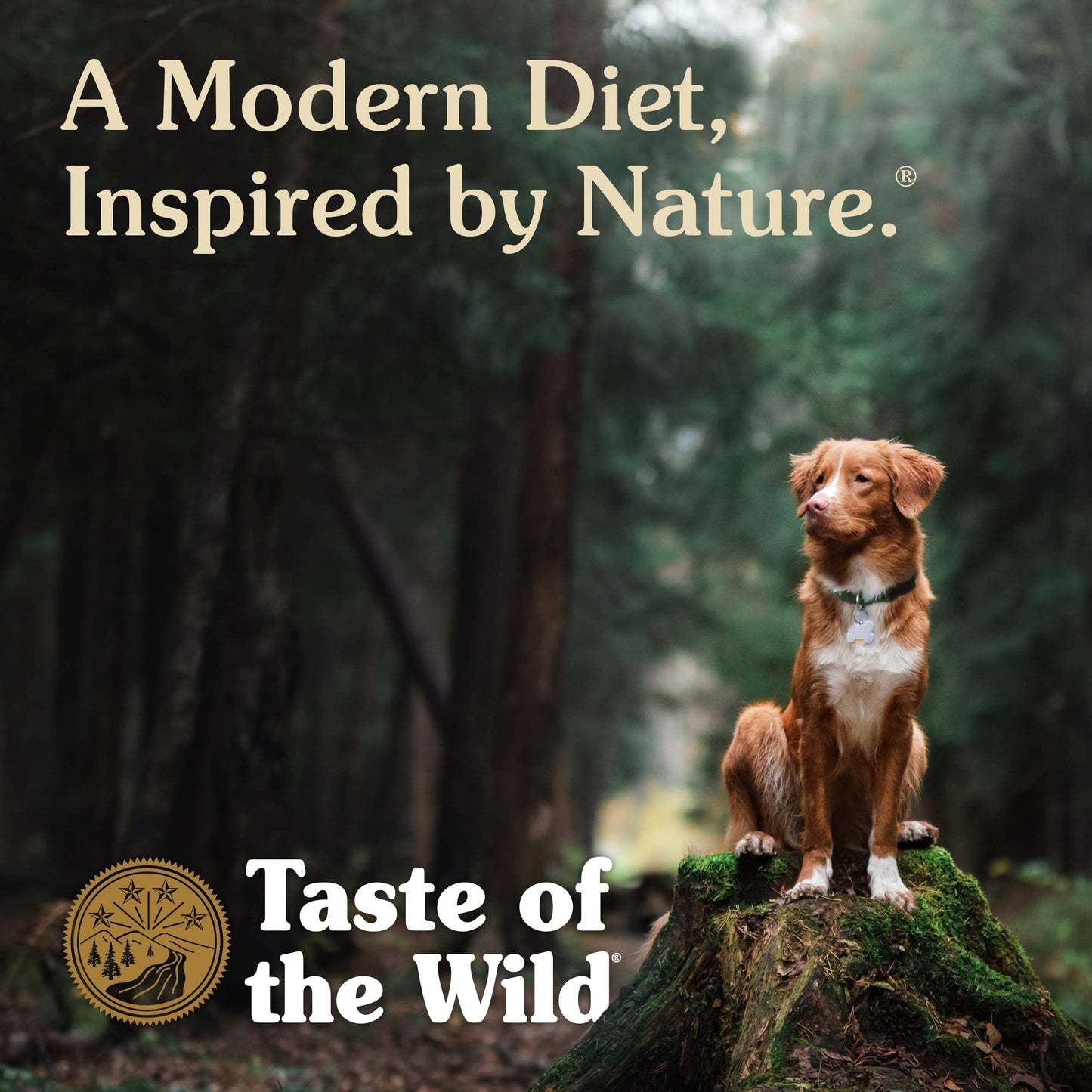 Taste of the Wild Ancient Wetlands Canine Recipe with Roasted Fowl and Ancient Grains 28lb