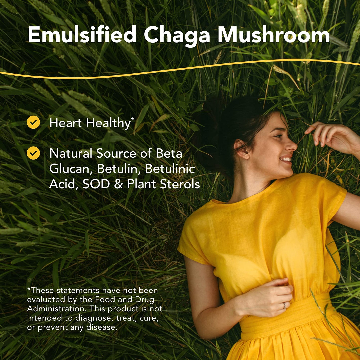 NORTH AMERICAN HERB & SPICE Chag-o-Power - 2 fl oz - Wild, Raw, Emulsified Chaga Mushroom - Heart Healthy - Natural Source of Betulin, Betulinic Acid, Sterols & SOD - 88 Servings