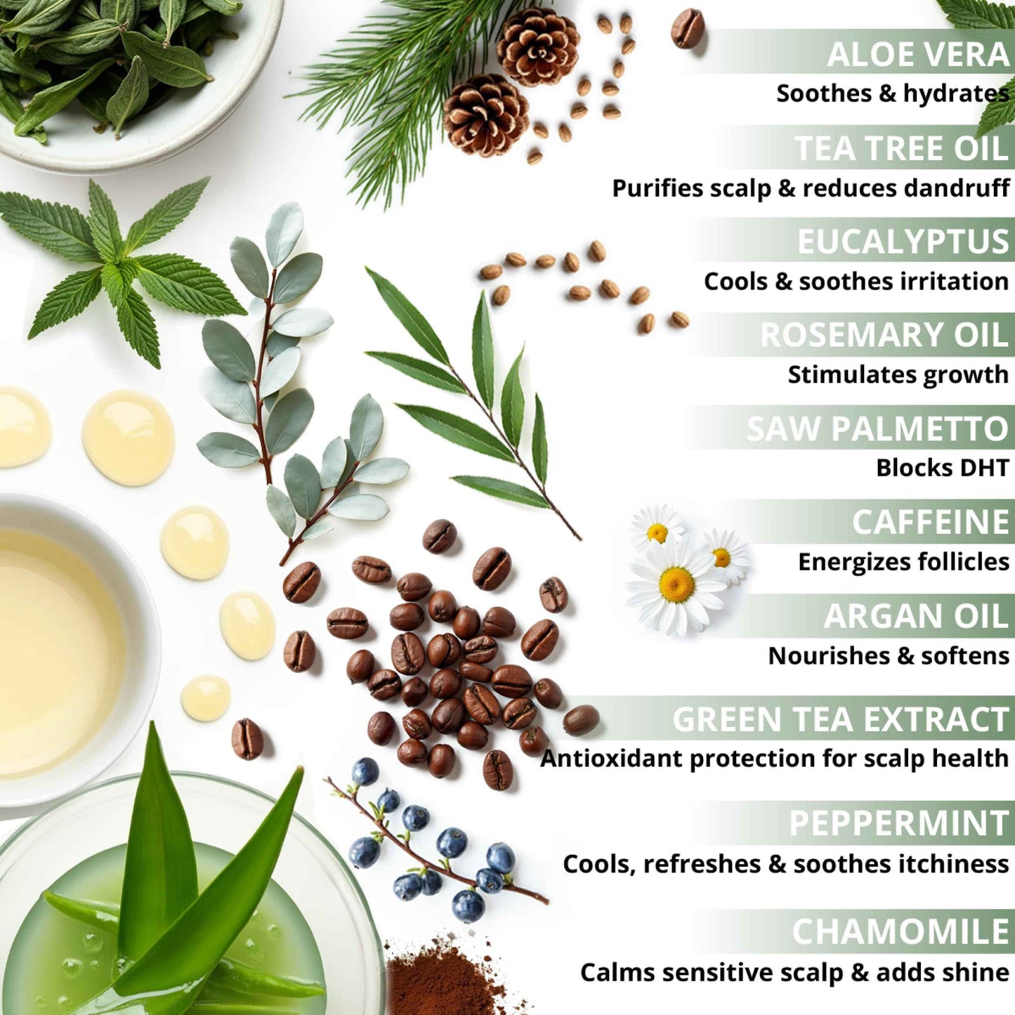 Tea Tree & Eucalyptus Shampoo for Hair Growth & Thinning Hair - Thickening, Sulfate-Free