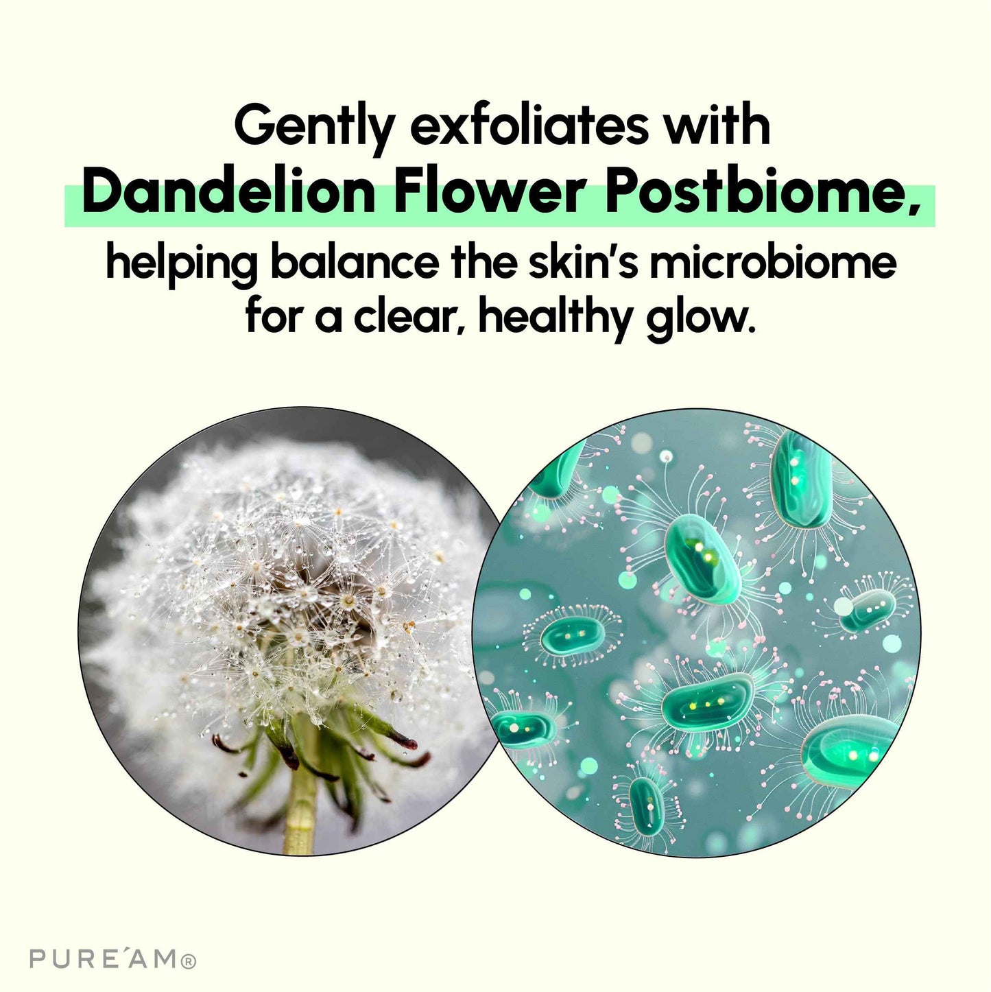 PURE'AM - Gentle Face Wash with Amino Acids, Salicylic Acid - 4.05 Fl.oz, 120ml - Korean Face Cleanser - Clarifying, Foaming, Deep Pore Cleaning, pH Balancing, Oil Control - Authentic Korean Skin Care