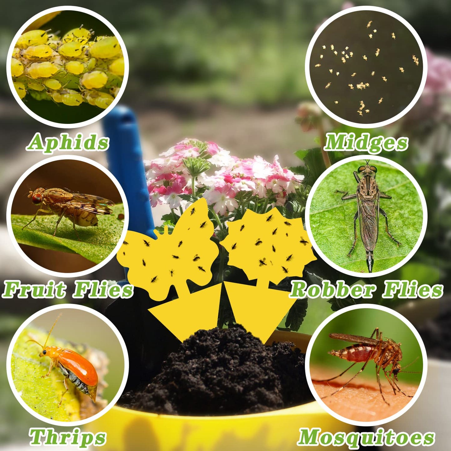 Landisun 96PCS Fruit Fly Traps Yellow Sticky Traps Fungus Gnat Traps Insect Bug Traps for Indoor Outdoor Kitchen Plants Whitefly Mosquitos Fungus Gnats Flying Insects