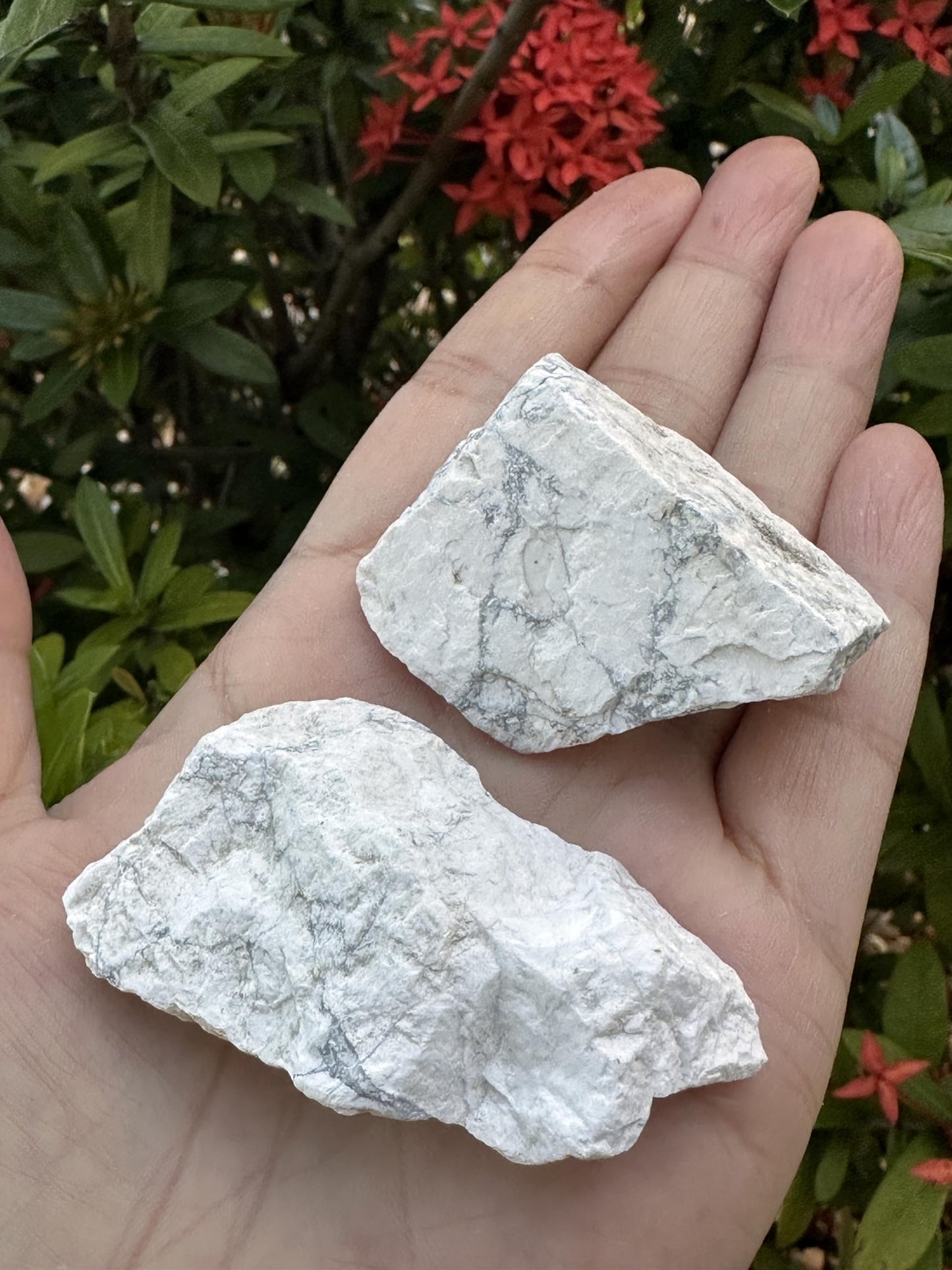 GAF TREASURES Wholesale Raw White Howlite Crystals, Natural White Howlite Stone, Natural Rough White Howlite Crystals, White Howlite Rough, White Howlite Healing Crystals (White Howlite, 0.25 Pound)