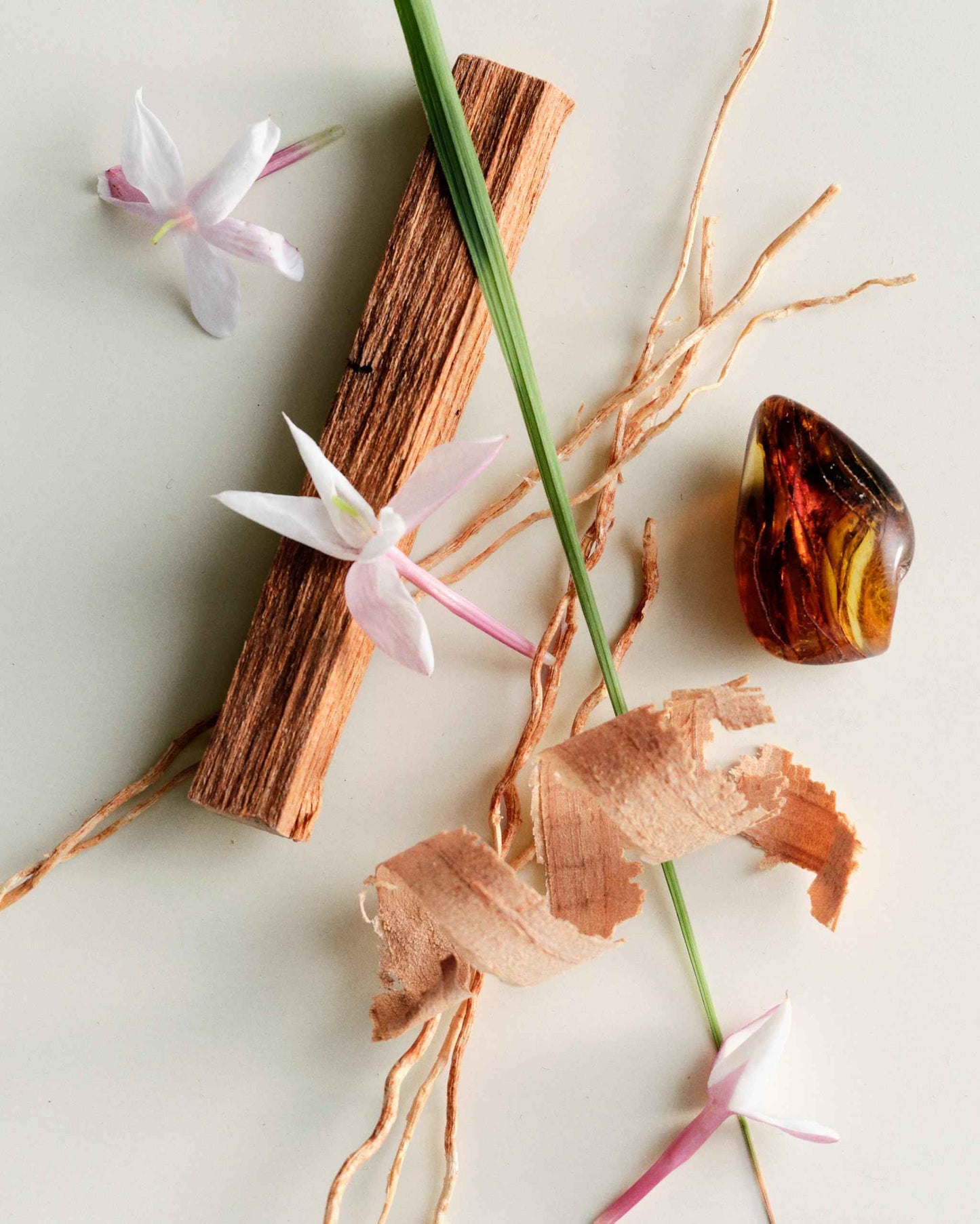 Maison Louis Marie - No.04 Bois de Balincourt Natural Body + Hand Lotion | Luxury Clean Beauty + Non-Toxic Fragrance (7.6 fl oz | 225 ml)