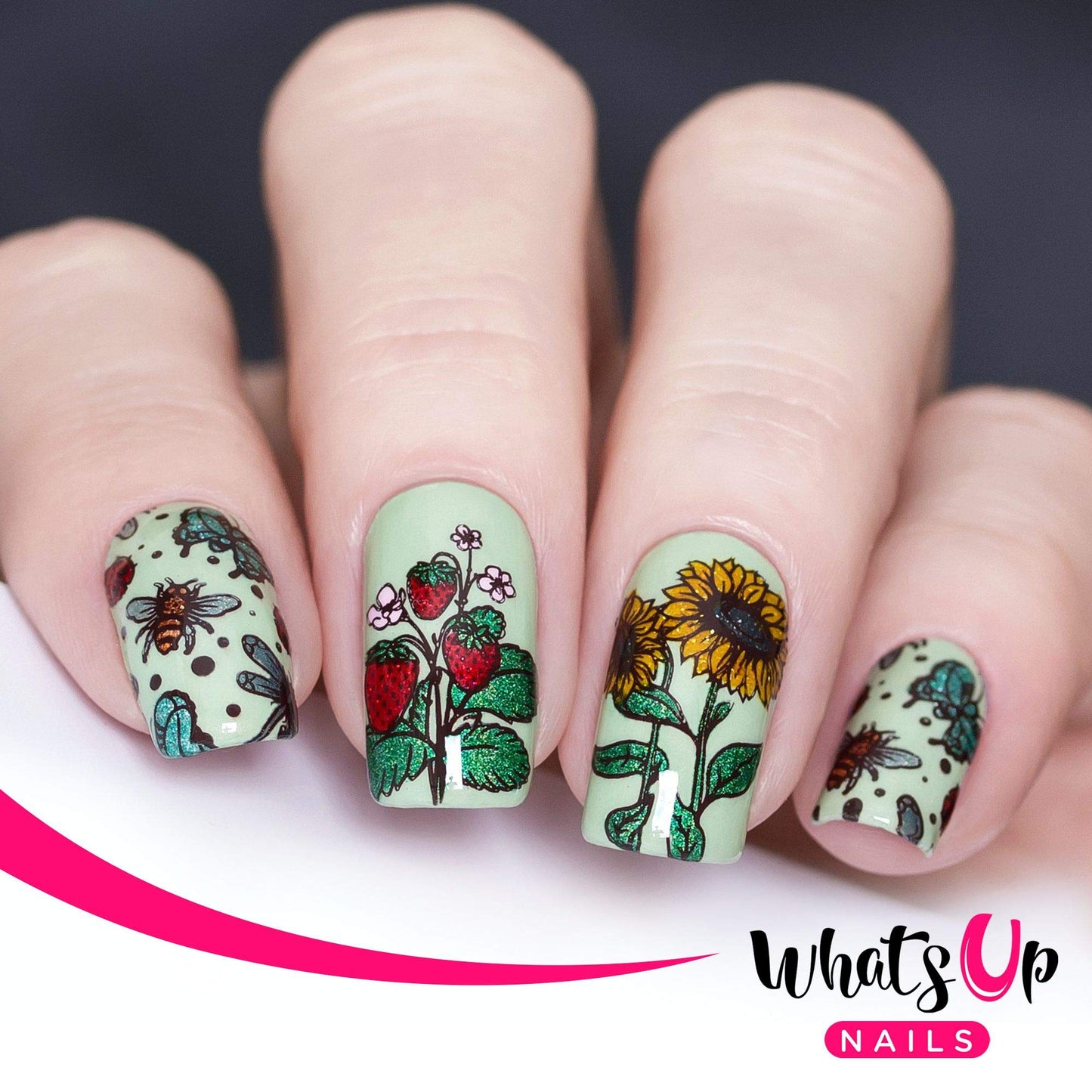 Whats Up Nails - B061 Summer in the Countryside Stamping Plate for Nail Art Design