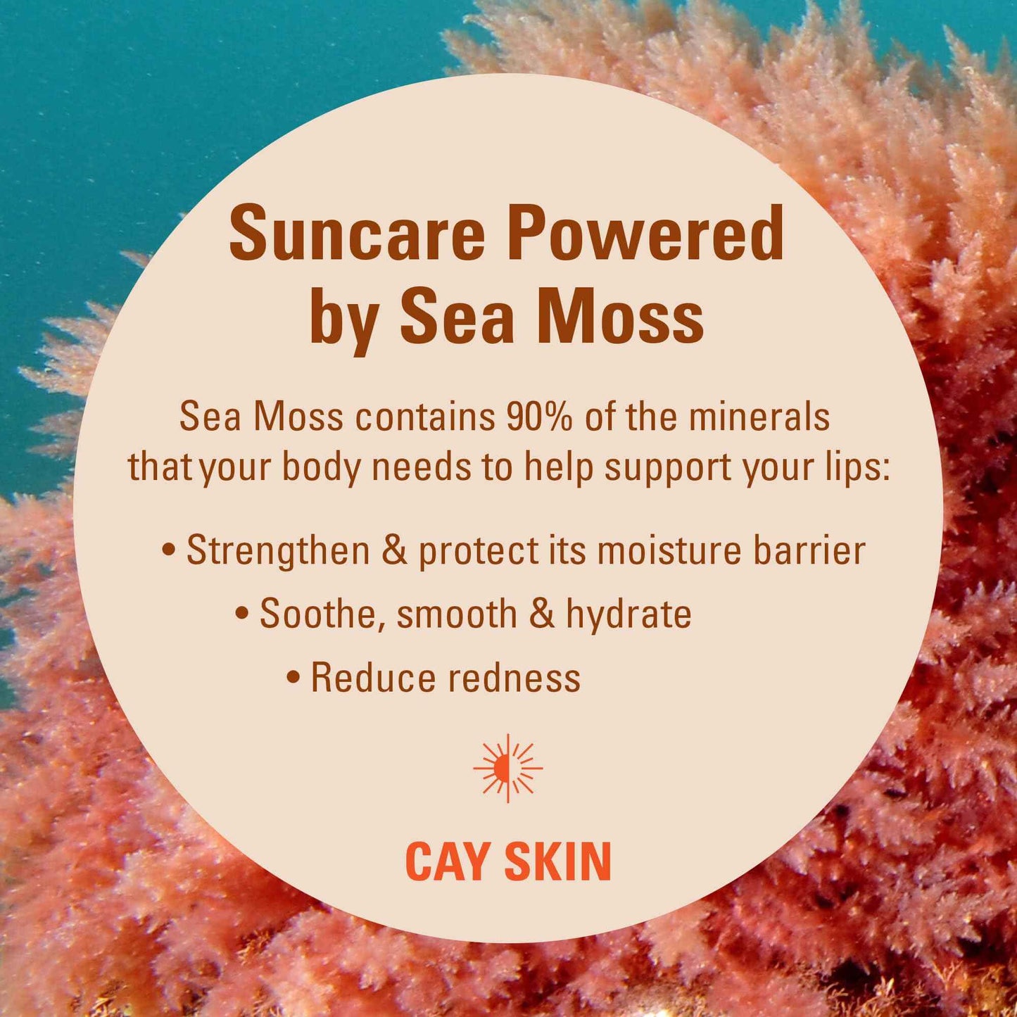 Isle Glow Lip Balm with SPF 30 (Pack of 3) - SPF Lip Balm w/Sea Moss, Aloe Stem Cells, Vitamin E & More - Vegan Lip Balm With Sunscreen - Non-Sticky & Glossy Hydrating Lip Balm for All Skin Tones