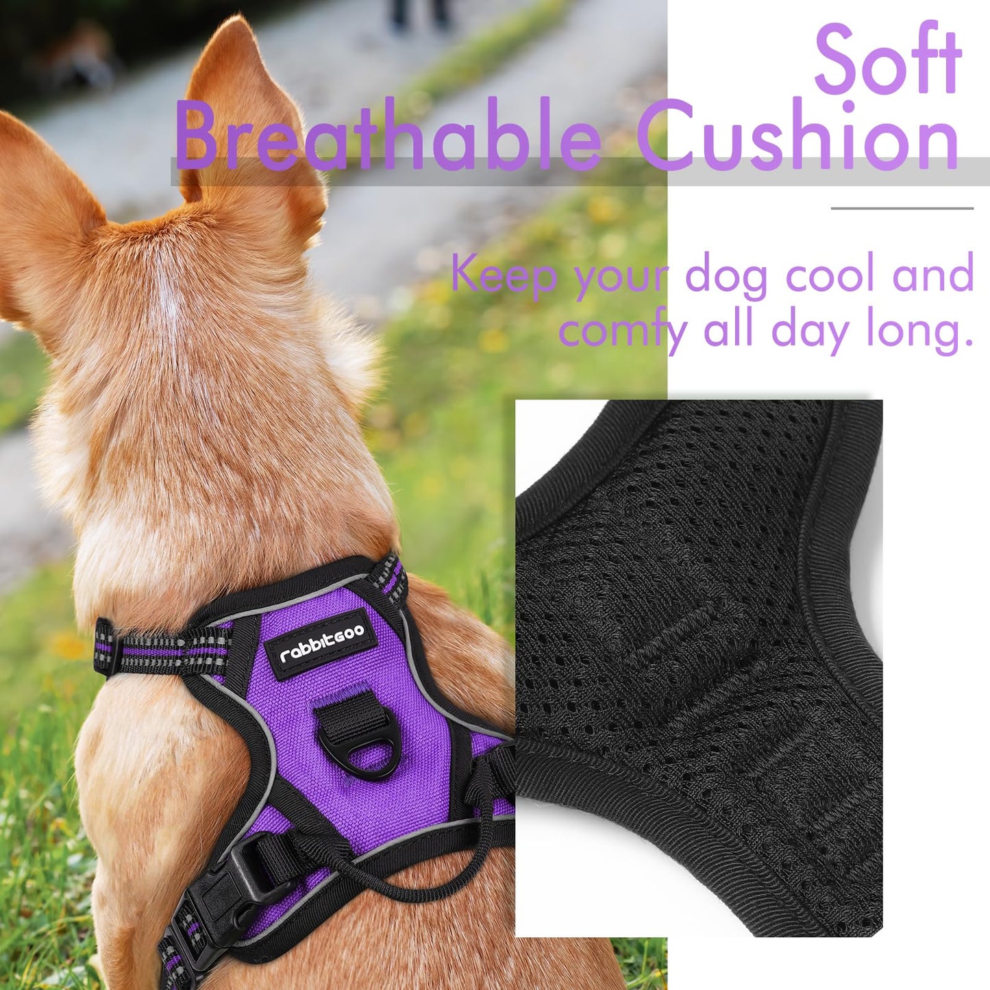 rabbitgoo Dog Harness, No-Pull Pet Harness with 2 Leash Clips, Adjustable Soft Padded Dog Vest, Reflective No-Choke Pet Oxford Vest with Easy Control Handle for Small Dogs, Purple,XS