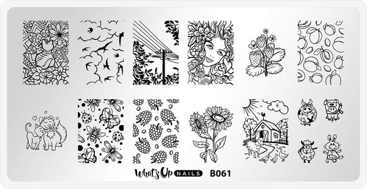 Whats Up Nails - B061 Summer in the Countryside Stamping Plate for Nail Art Design