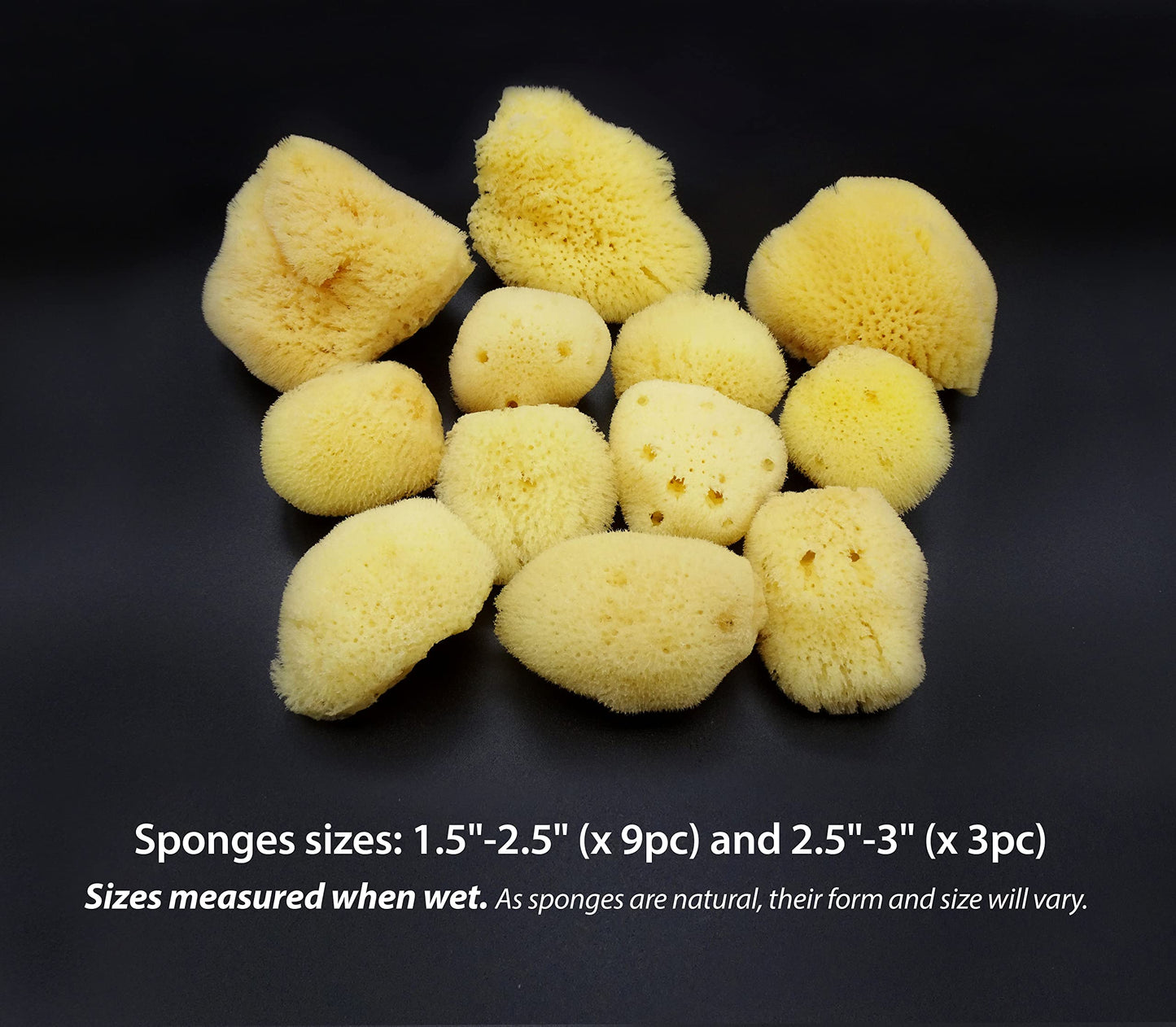 Natural Sea Silk Sponges 12pk: Size 9pc x1.5"-2.5" 3pc x 2.5"-3", like Cotton Balls, for Cosmetic Use, Makeup Application & Removal, Face & Eye Cleaning, with Luxury Gift Bag by Constantia Beauty®