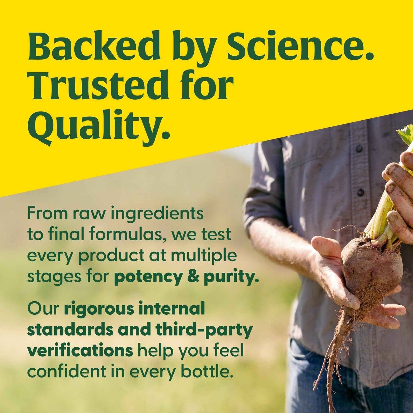 MegaFood MegaFlora Probiotic - Probiotics for Women Digestive Health - Immune Support Supplement - 20 Billion CFU - 14 Strains - Non-GMO - Vegetarian - 30 Mini Capsules (30 Servings)