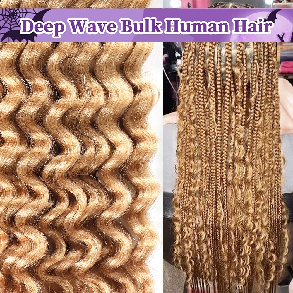 Deep Wave Bulk Human Braiding hair For Boho Braids knotless Micro Curly Wet And Wavy Bundles No Weft 12A Brazilian Remy Human Hair Extensions For Black Women (Deep Bulk - #27, 16Inch/100G)