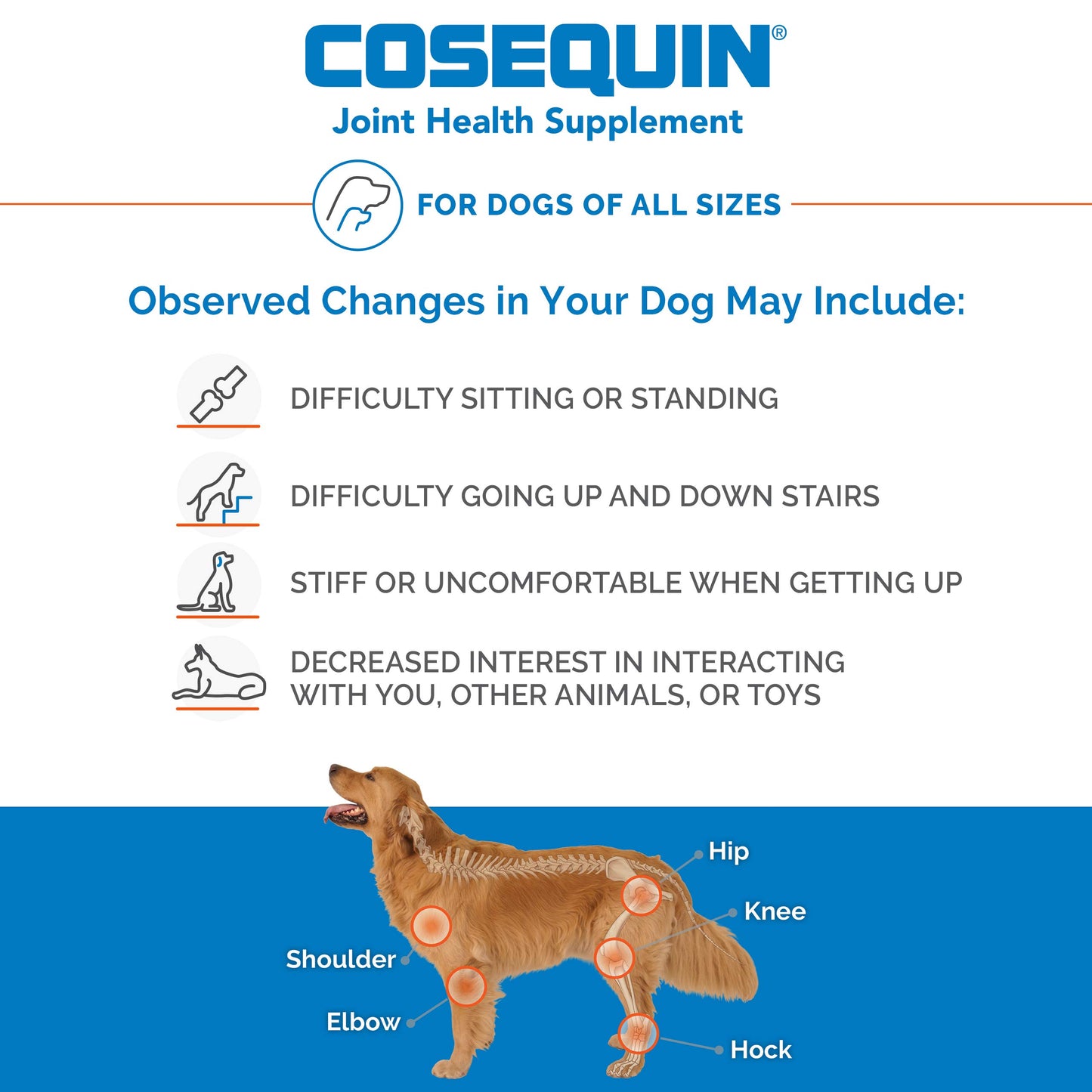 Nutramax Laboratories Cosequin Maximum Strength Joint Health Supplement for Dogs - With Glucosamine, Chondroitin, and MSM, 60 Chewable Tablets