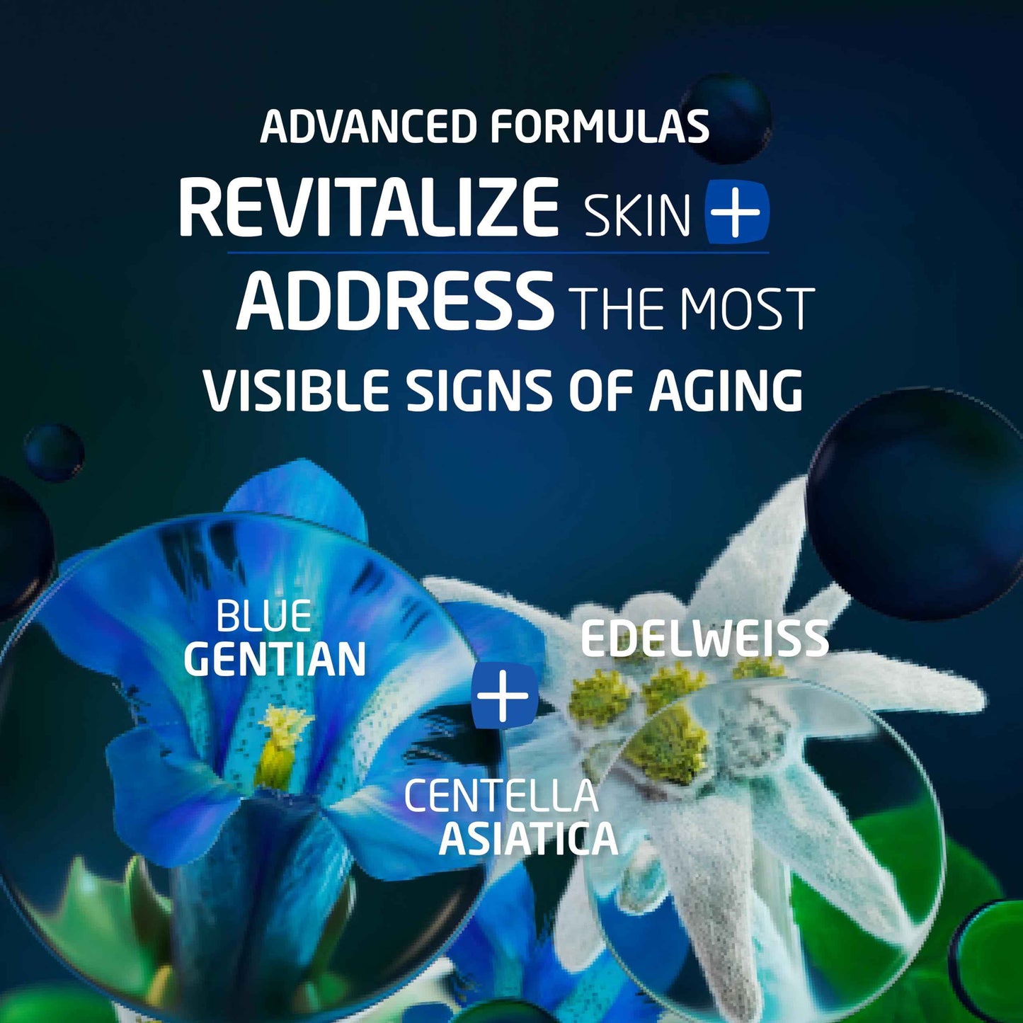 Weleda Face Care Rejuvenating Day Cream, 1.3 Fluid Ounces, Plant Rich Moisturizer with Blue Gentian and Edelweiss