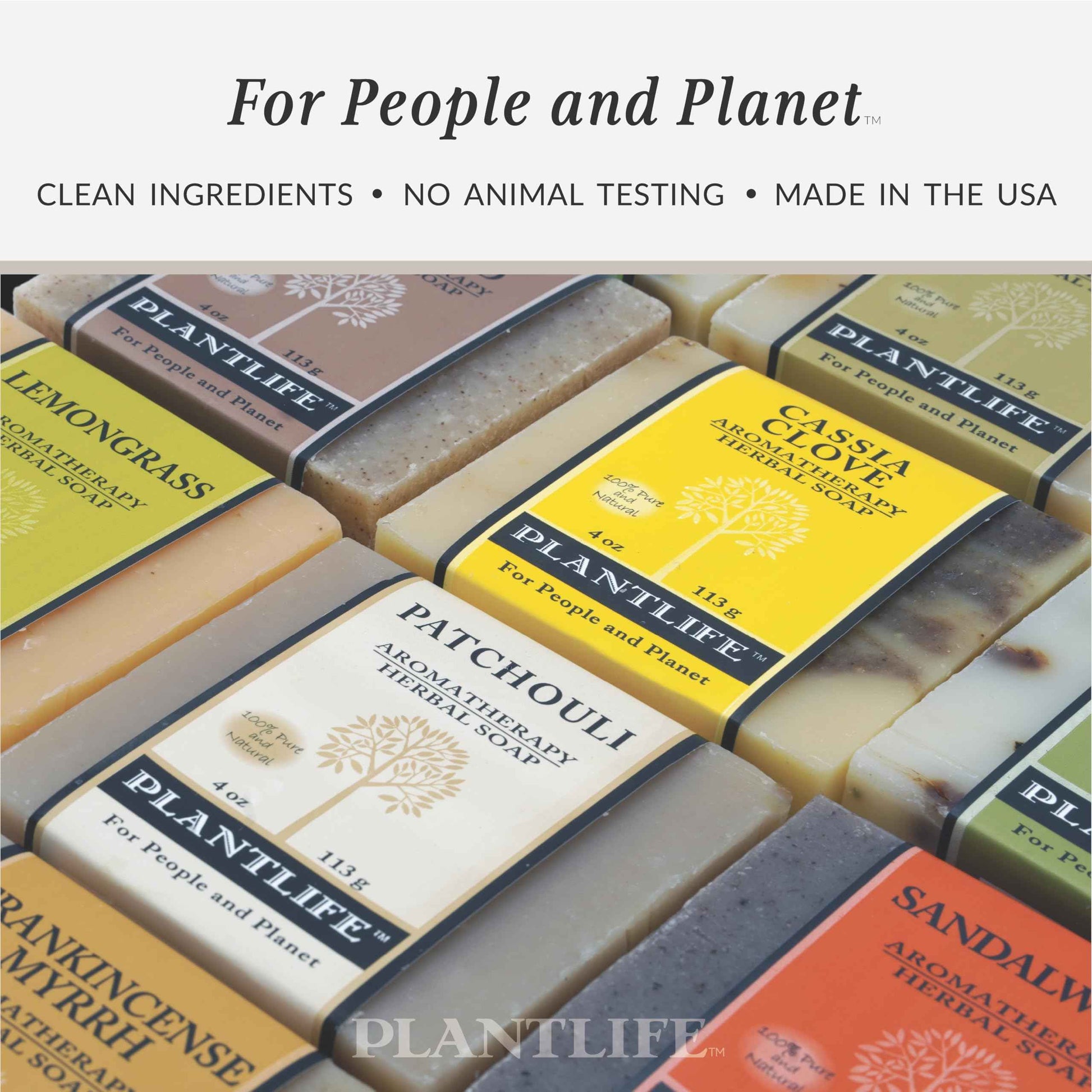 Plantlife Rosemary Tea Tree 6-Pack Bar Soap - Moisturizing and Soothing Soap for Your Skin - Hand Crafted Using Plant-Based Ingredients - Made in California 4oz Bar