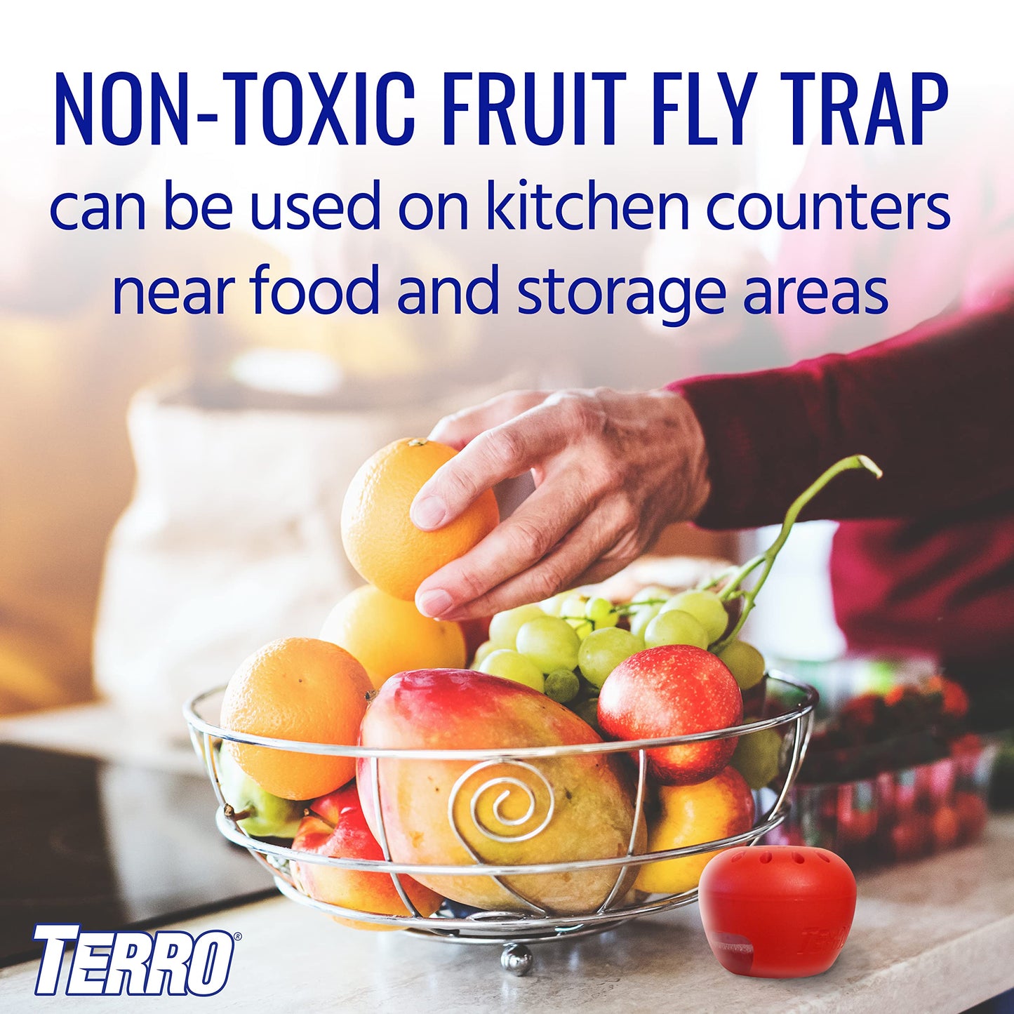 TERRO T2503-3 Ready-to-Use Indoor Fruit Fly Trap with Built in Window - 6 Traps + 270 Day Lure Supply