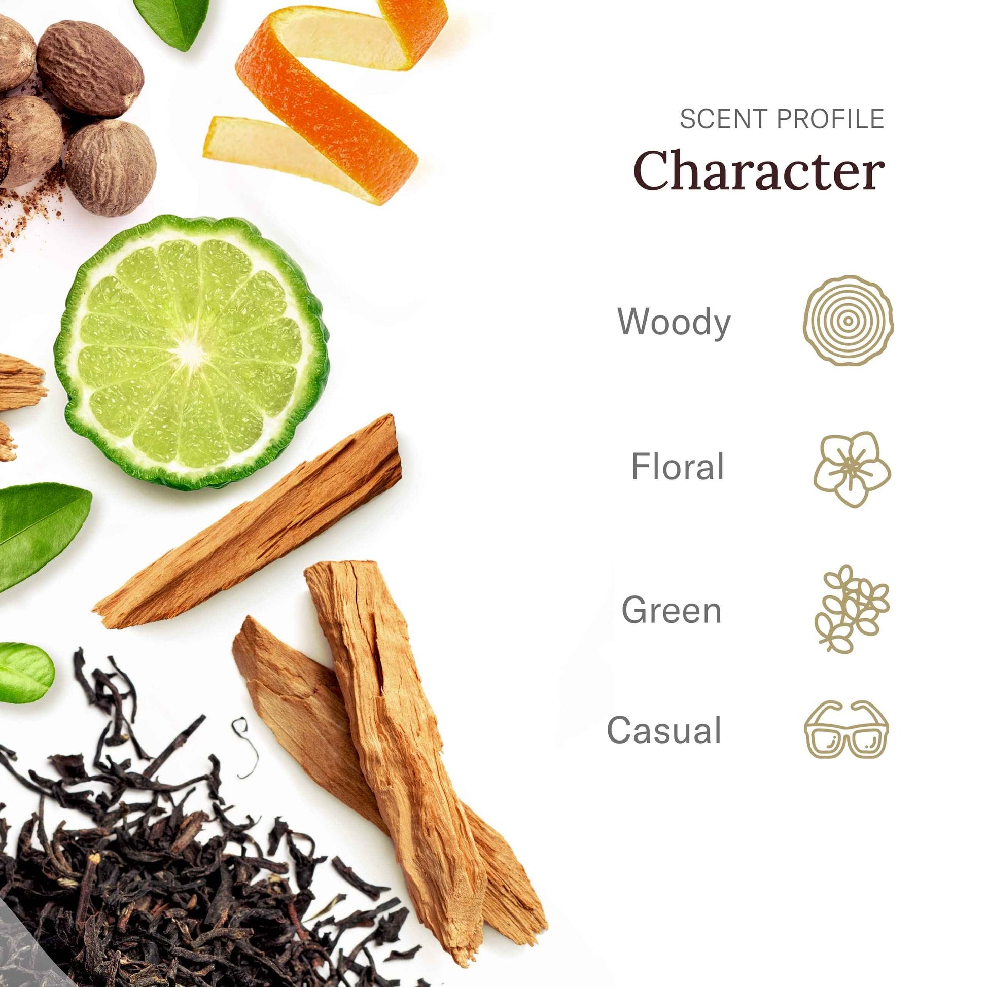 STETSON Personal Care All Day Body Spray by Scent Beauty - Body Spray for Men - Perfect for Men's Grooming Kit - 5 oz - 3 Pack - Oasis