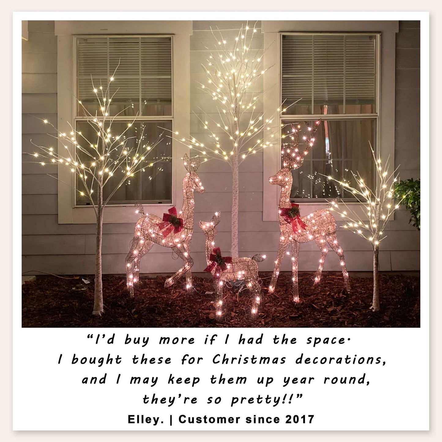 2 Pack 4FT Lighted Birch Tree 48 LED Artificial Tree for Decoration Inside and Outside, Home Patio Wedding Festival Christmas Decor, Warm White