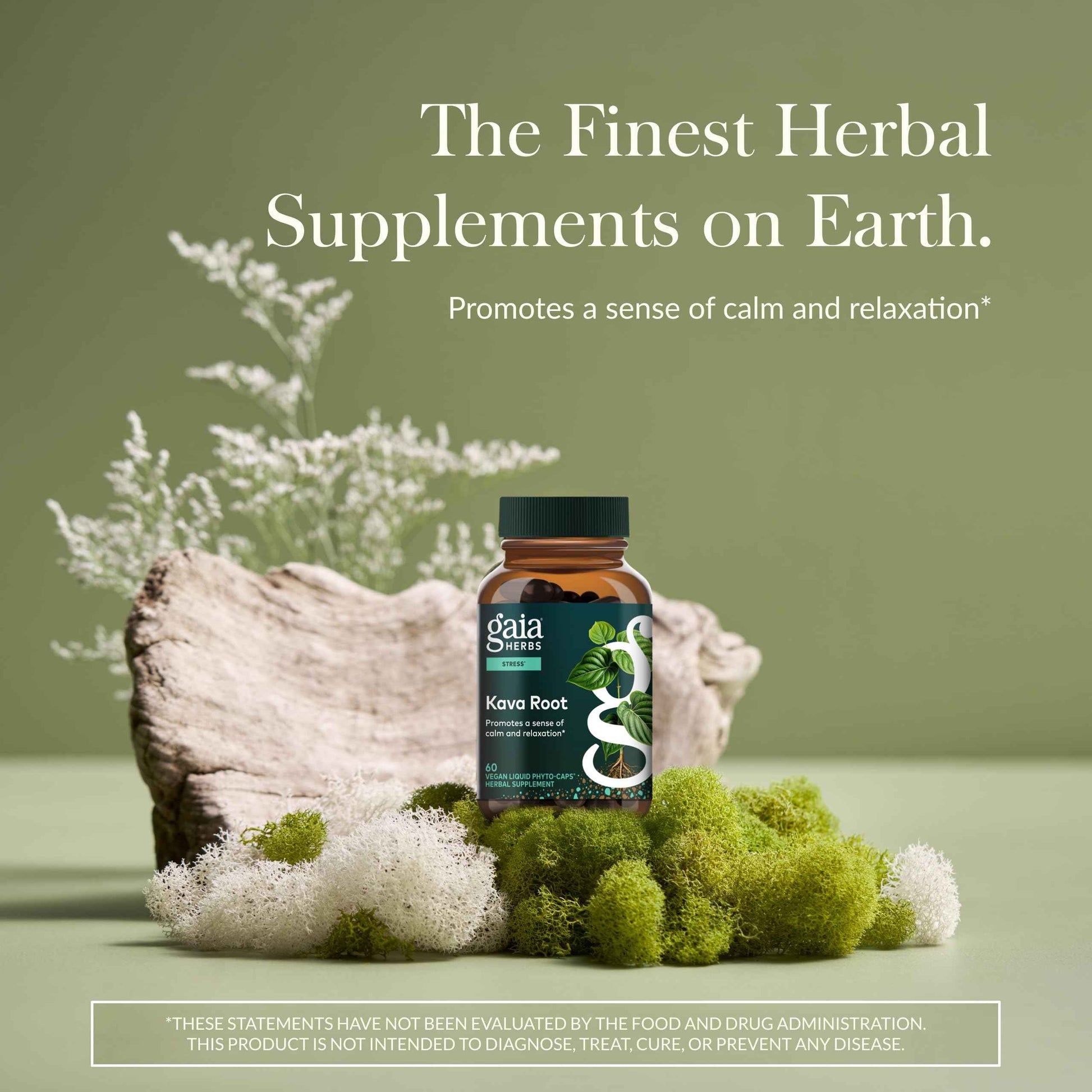 Gaia Herbs Kava Root - Helps Sustain a Sense of Calm & Relaxation During Times of Stress*- Made with Noble Kava Cultivars - 60 Vegan Liquid Phyto-Capsules (20-Day Supply)