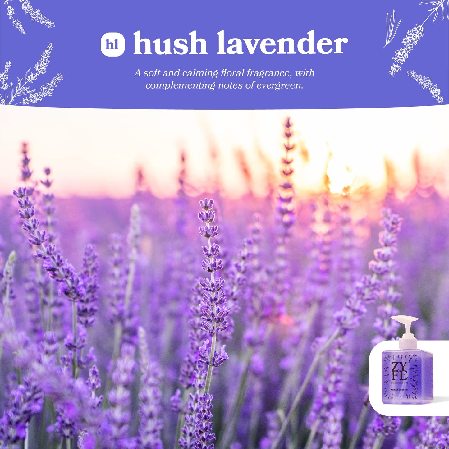 Vitamin Hand Soap - Liquid Hand Soap - Natural Plant Derived Moisturizing Handsoap with Essential Oil Fragrance Hush Lavendar - Soft Hand Wash for Kitchen & Bathroom with Pump 12oz - Lush Soft Soap