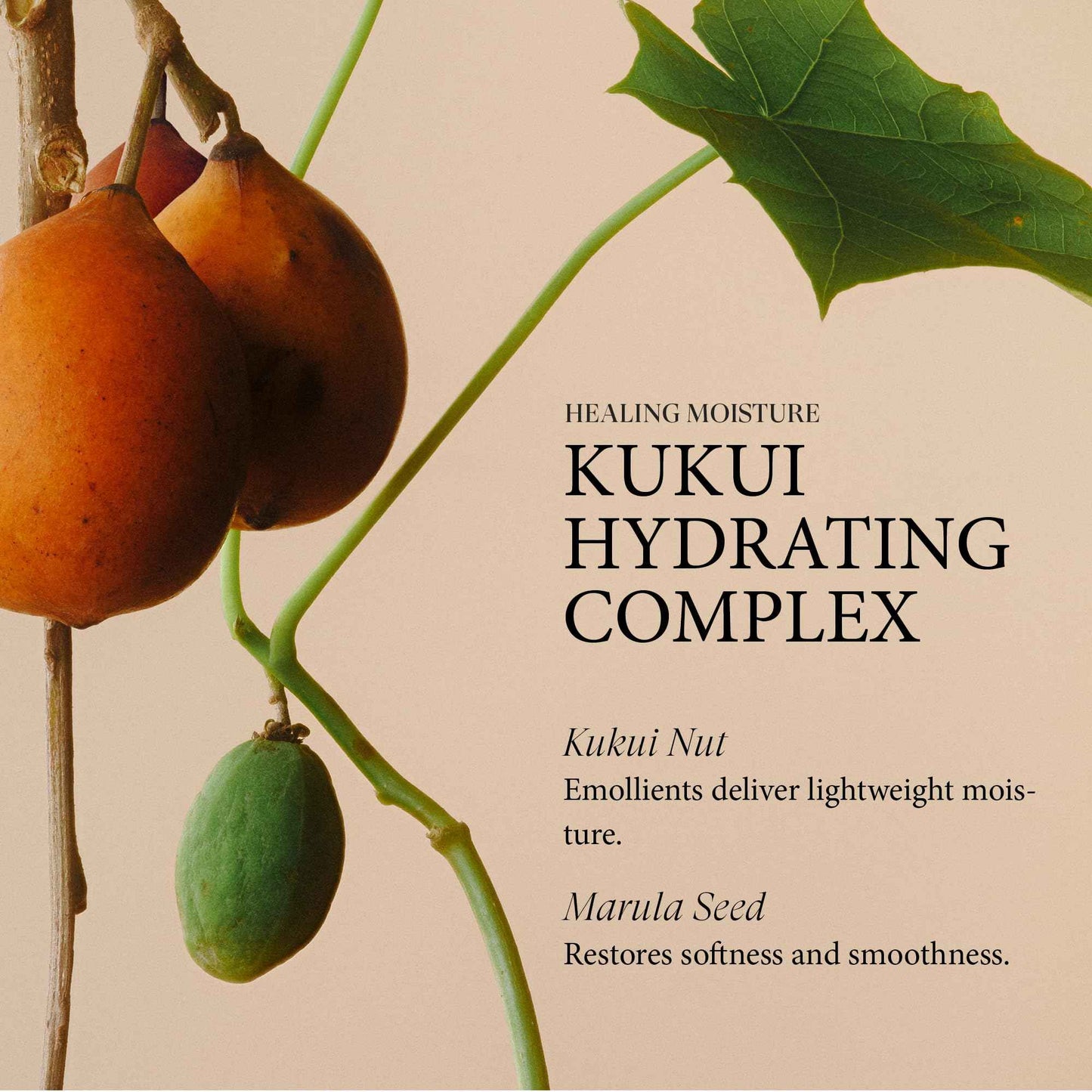 L'ANZA Healing Moisture Mini Hair Care Kit, Shampoo, Conditioner & Mist Leave-In Conditioner Spray, Hydrating, Detangles, Softens, UV & Heat Protection, Adds Shine, Fights Humidity, Color Safe