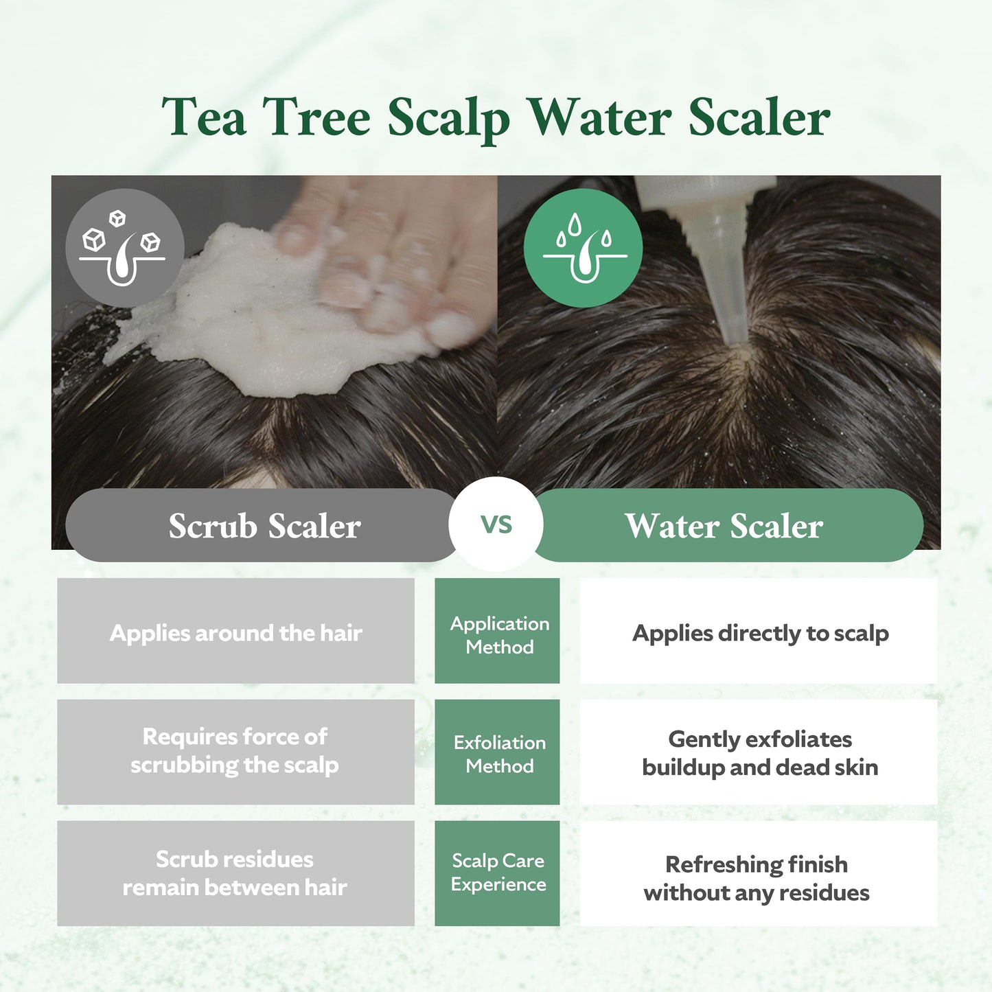 STEAMBASE Tea Tree Scalp Water Scaler & Brush | Purifies and Exfoliates Oily Scalp | Natural BHA & Tea Tree | Removes Scalp Odor & Buildups | Water Type Hypoallergenic Scalp Exfoliator, 8.42 fl oz