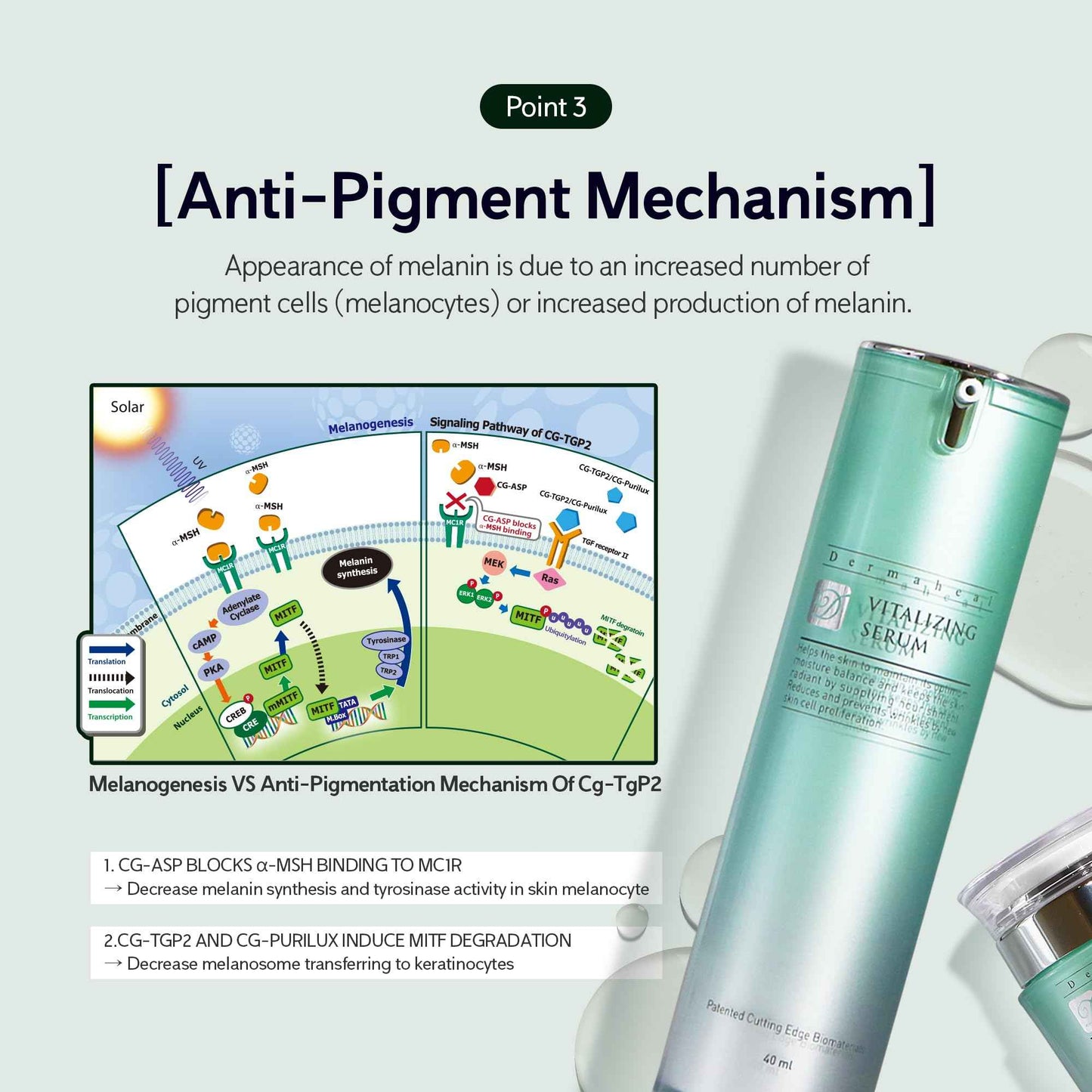 Dermaheal Vitallizing Serum, Korea Skin Care Brand, Made In Korea, (40g/1.3 fl oz)