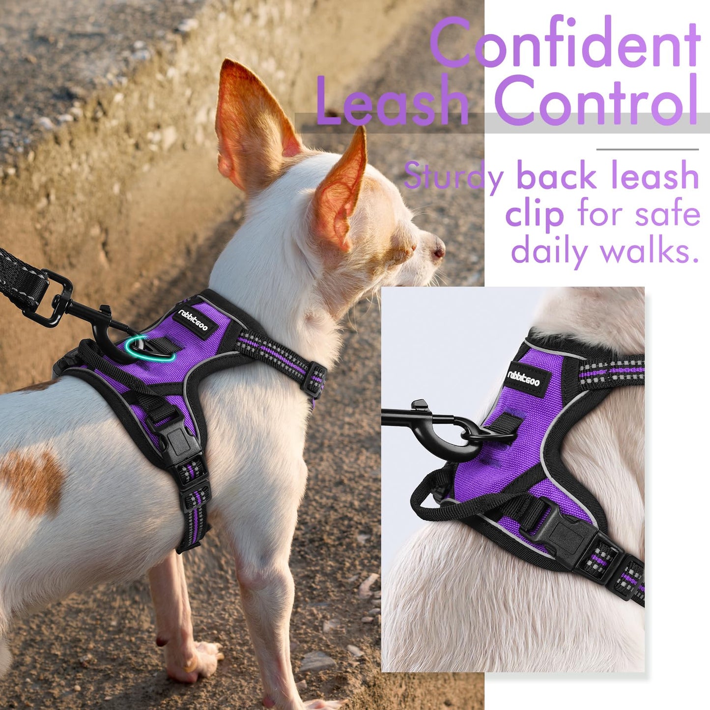 rabbitgoo Dog Harness, No-Pull Pet Harness with 2 Leash Clips, Adjustable Soft Padded Dog Vest, Reflective No-Choke Pet Oxford Vest with Easy Control Handle for Small Dogs, Purple,XS