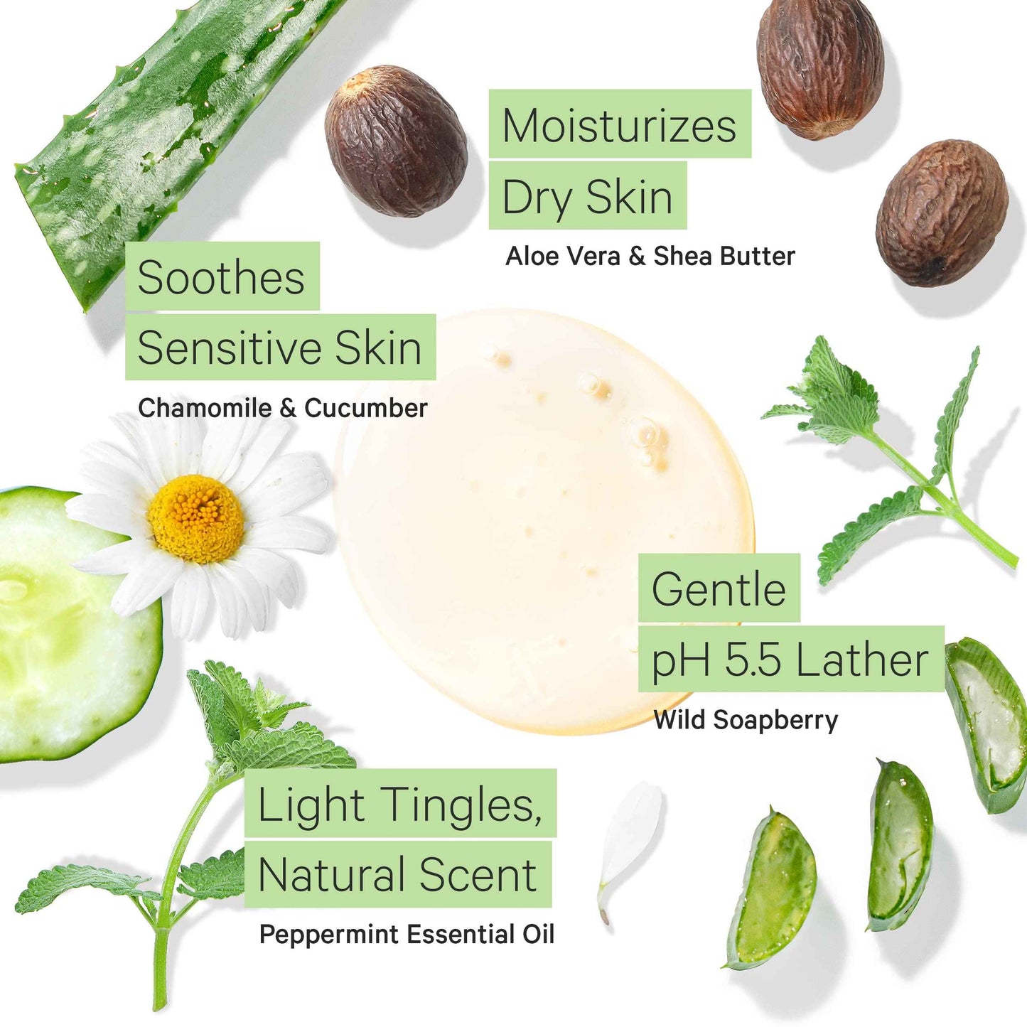 Tree to Tub Citrus & Peppermint Body Wash for Dry Skin Sensitive Skin - pH Balanced Moisturizing Body Wash, Hydrating Sulfate Free Vegan Body Soap for Women & Men w/Organic Shea Butter