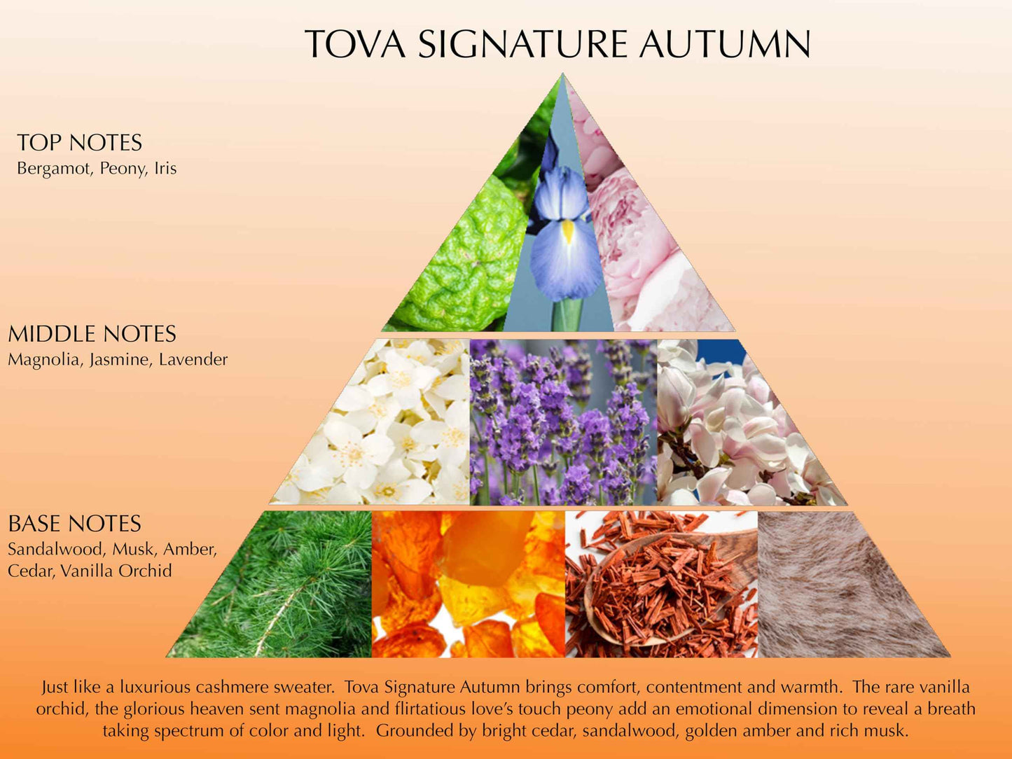 Tova Signature Autumn Body Velvet Lotion – Nourishing Botanical Body Cream for Women – Floral Amber Scent – USA-Made & Cruelty-Free – 3.4 fl oz