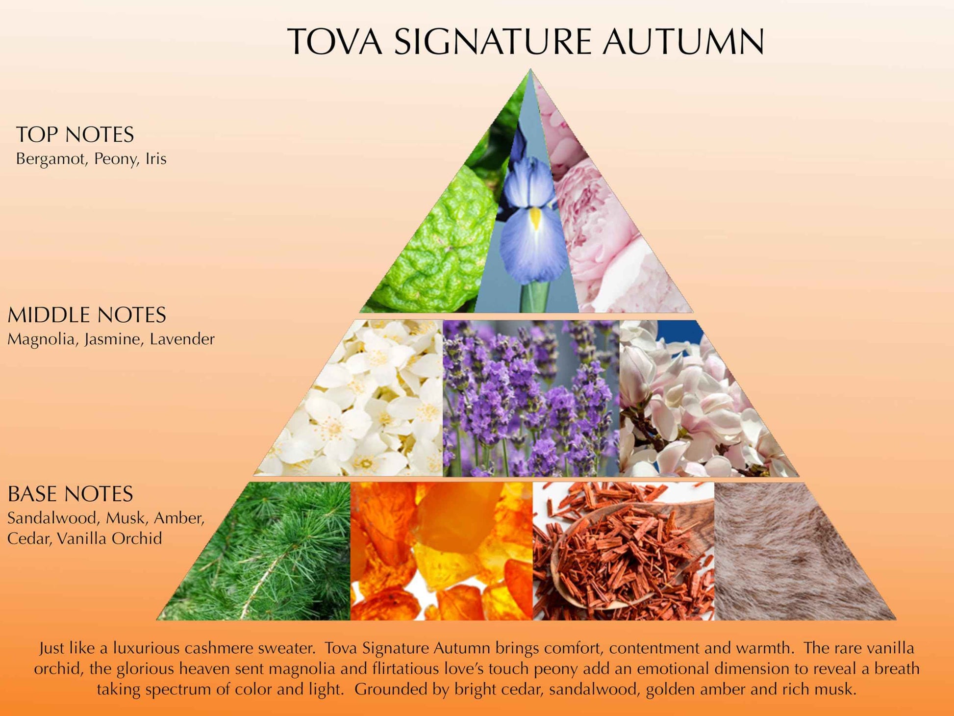 Tova Signature Autumn Body Velvet Lotion – Nourishing Botanical Body Cream for Women – Floral Amber Scent – USA-Made & Cruelty-Free – 3.4 fl oz