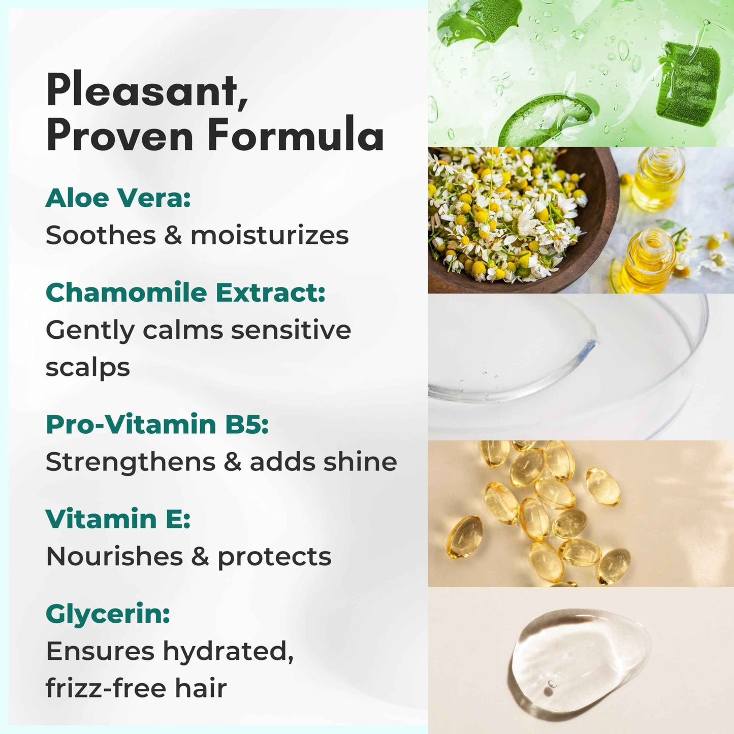 No Water Rinse Free Shampoo Cap by Nurture | Microwavable Hair Washing & Conditioning Shower Caps | Waterless Bathing | Disposable & Hypoallergenic for Adults, Bedridden & Elderly