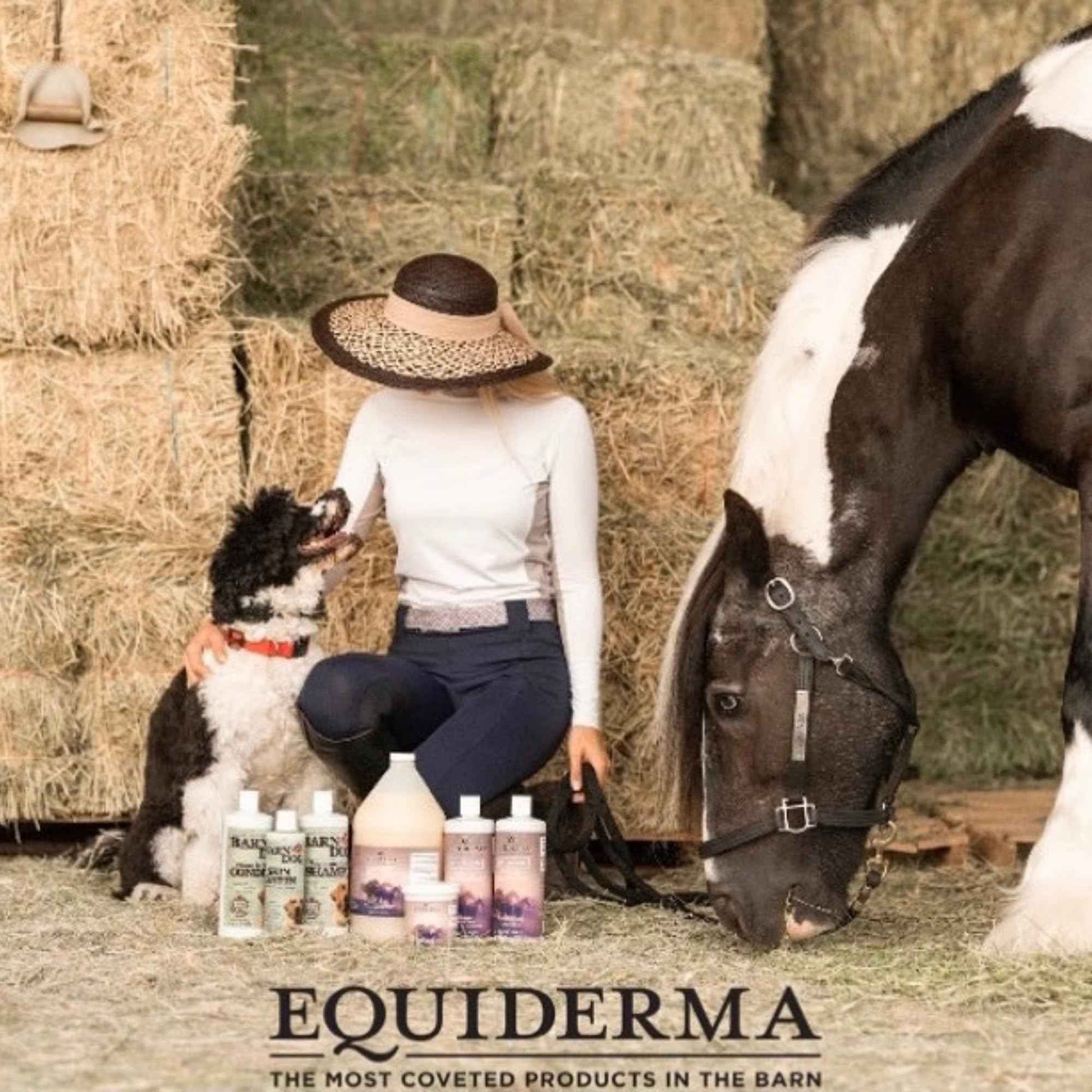 EQUIDERMA Horse Skin Lotion – 16 oz | All-in-One Equine Skin Care for Cannon Bone Scurf, Mane & Tail Itching, Midline Irritation, Dry Patches & Coat Health Support