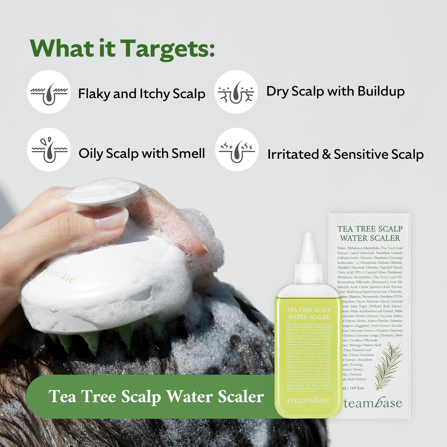 STEAMBASE Tea Tree Scalp Water Scaler & Brush | Purifies and Exfoliates Oily Scalp | Natural BHA & Tea Tree | Removes Scalp Odor & Buildups | Water Type Hypoallergenic Scalp Exfoliator, 8.42 fl oz