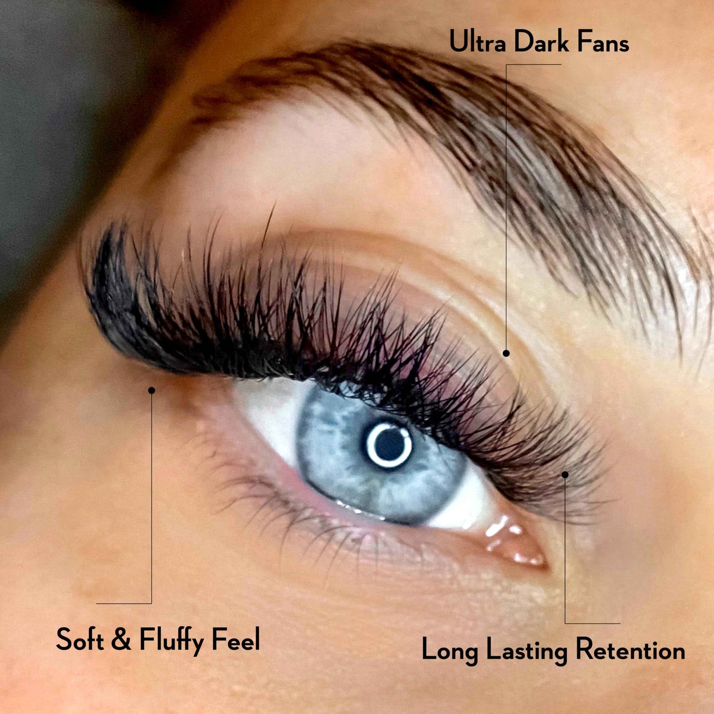 One V Salon Pro 6D Promade Loose Fans, 1000 Premade Volume Lash Fans |C Curl, 0.07 mm | 8–15 mm Mixed Lengths | Thin Base, Hand-Crafted(6D-0.07-C-Curl)