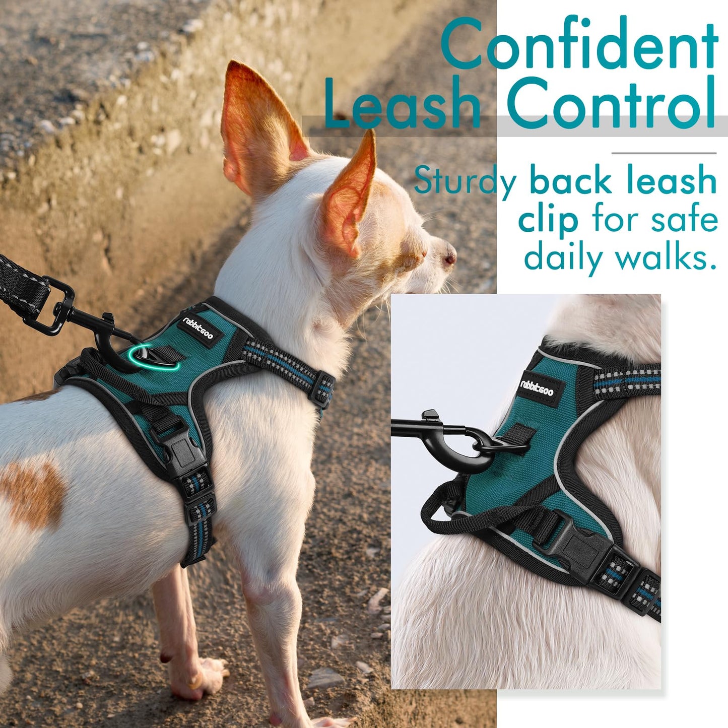 rabbitgoo Dog Harness, No-Pull Pet Harness with 2 Leash Clips, Adjustable Soft Padded Dog Vest, Reflective No-Choke Pet Oxford Vest with Easy Control Handle for Small Dogs, Blue Coral, XS