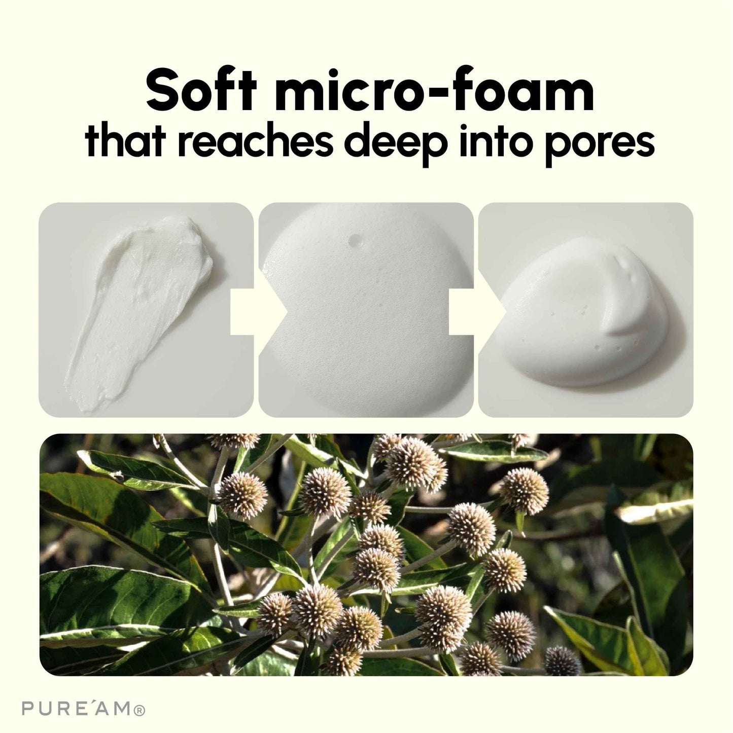 PURE'AM - Gentle Face Wash with Amino Acids, Salicylic Acid - 4.05 Fl.oz, 120ml - Korean Face Cleanser - Clarifying, Foaming, Deep Pore Cleaning, pH Balancing, Oil Control - Authentic Korean Skin Care