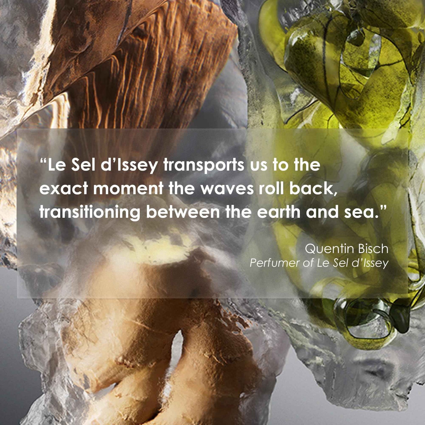 Issey Miyake Le Sel d'Issey Shower Gel - Fresh Woody Marine Shower Gel for Men - With Salt Accord, Marine Seaweed, Ginger & Cedarwood - 6.7 oz