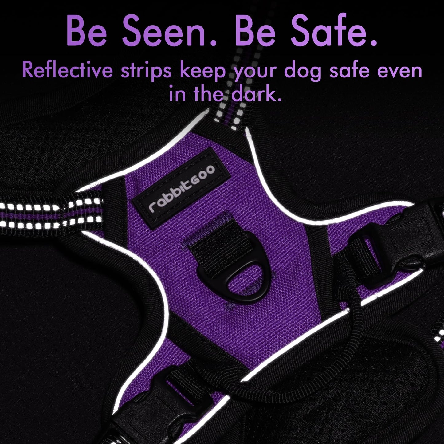 rabbitgoo Dog Harness, No-Pull Pet Harness with 2 Leash Clips, Adjustable Soft Padded Dog Vest, Reflective No-Choke Pet Oxford Vest with Easy Control Handle for Small Dogs, Purple,XS