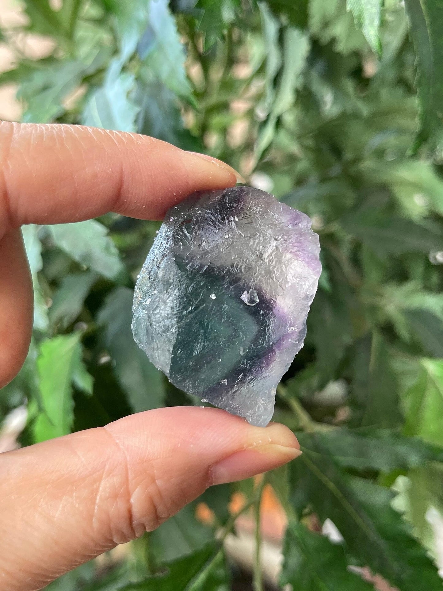 GAF TREASURES Wholesale Raw Rainbow Fluorite Crystals, Natural Rainbow Fluorite Stone, Natural Rough Rainbow Fluorite Crystals, Rainbow Fluorite Healing Crystals (Rainbow Fluorite, 0.25 Pound)