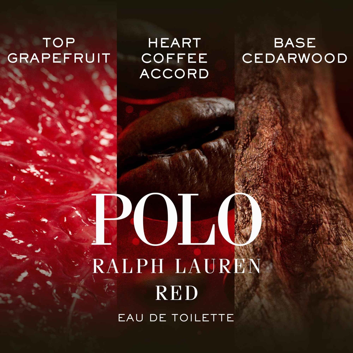 RALPH LAUREN FRAGRANCES Polo Red - Men's Deodorant - Woody & Spicy - With Grapefruit, Saffron, and Redwood - Alcohol-Free, Long Lasting - 2.6 Oz